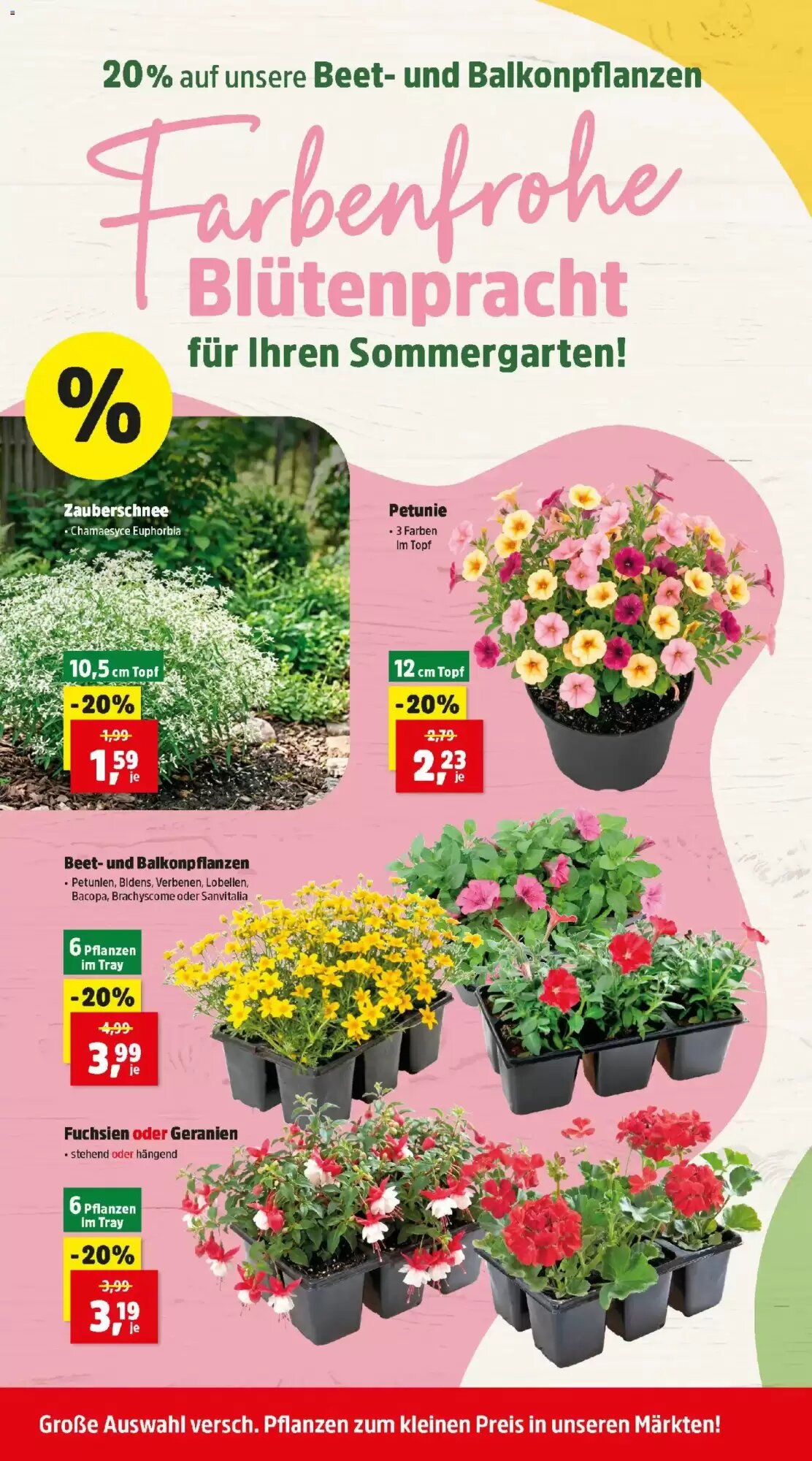 Thomas Philipps Flugblatt (ab 08.06.2026) - Angebote und Prospekt - Seite 6