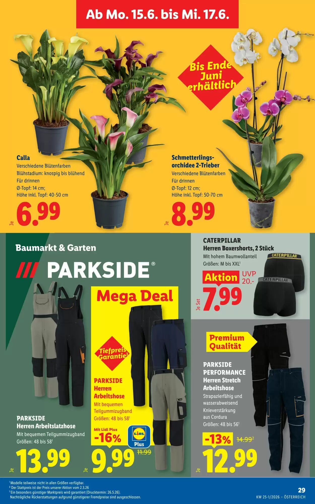Lidl Flugblatt (ab 11.06.2026) - Angebote und Prospekt - Seite 36