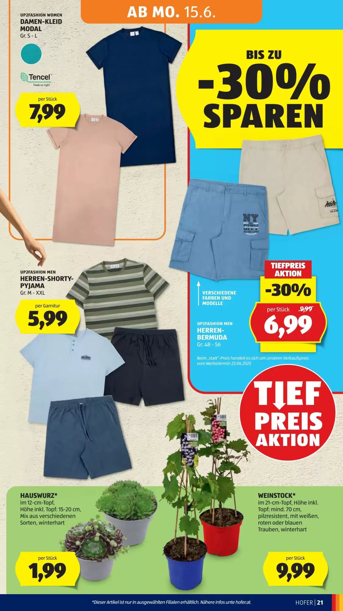 Hofer Flugblatt (ab 12.06.2026) - Angebote und Prospekt - Seite 25