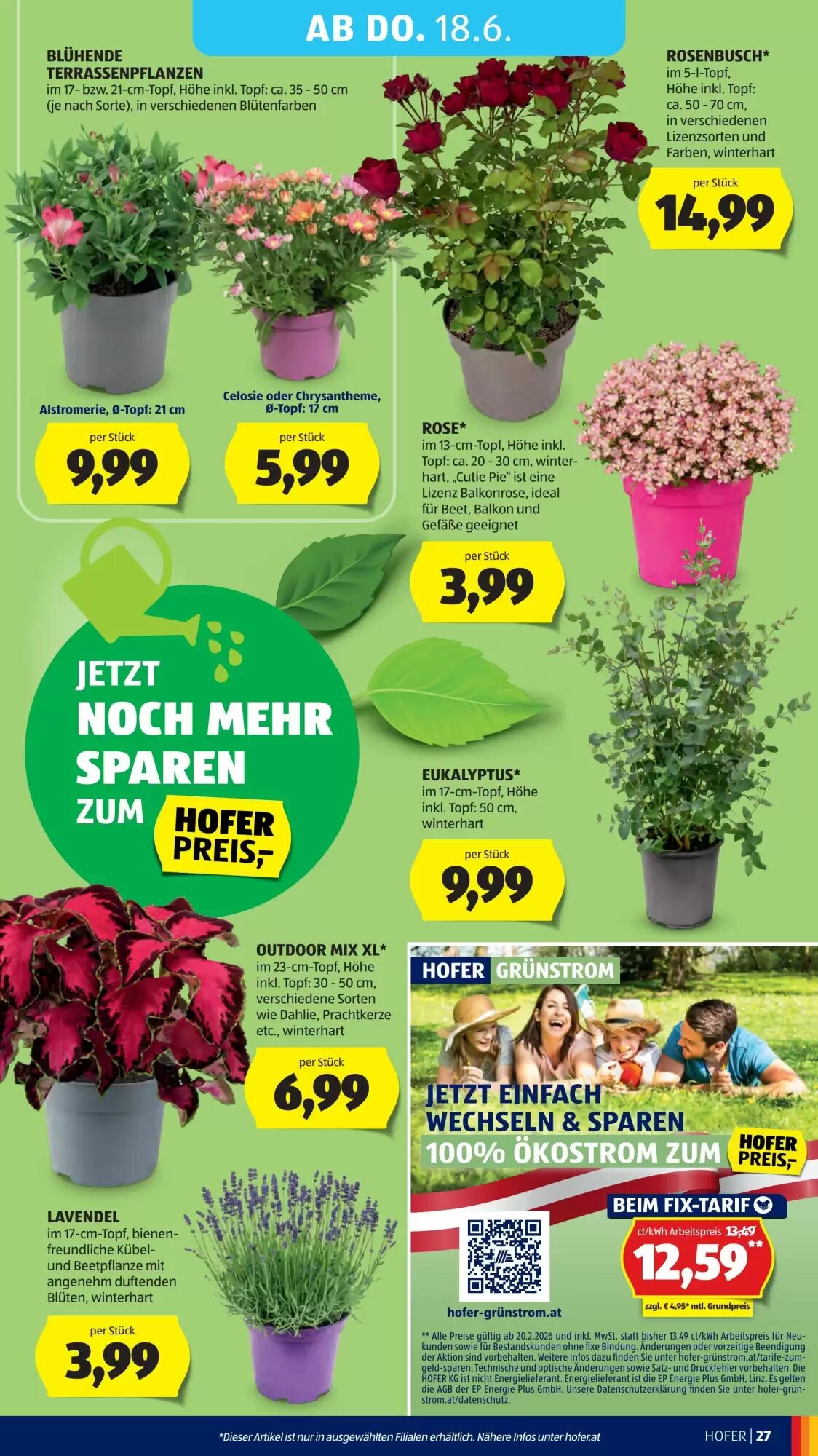 Hofer Flugblatt (ab 12.06.2026) - Angebote und Prospekt - Seite 31