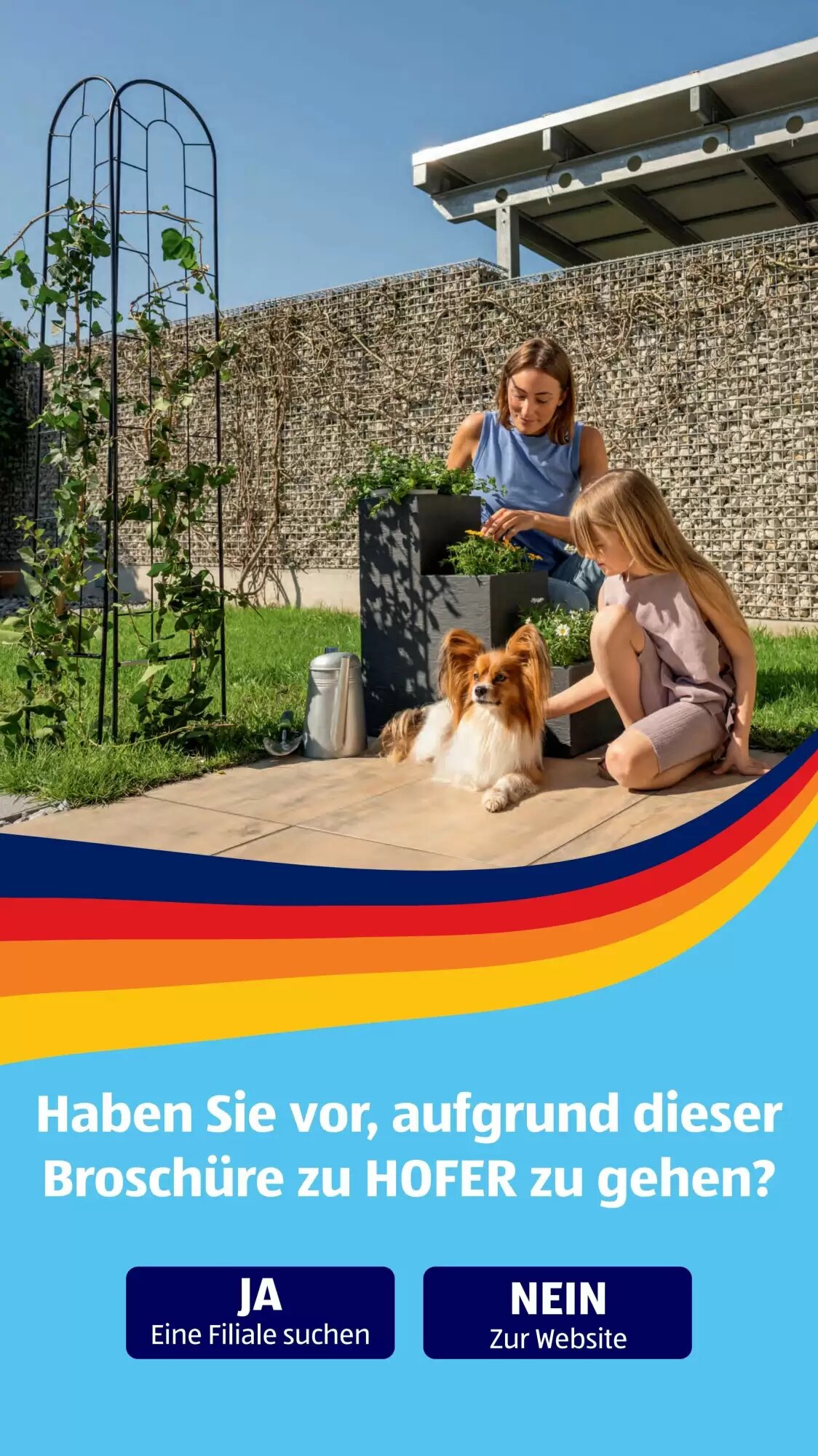 Hofer Flugblatt (ab 12.06.2026) - Angebote und Prospekt - Seite 42