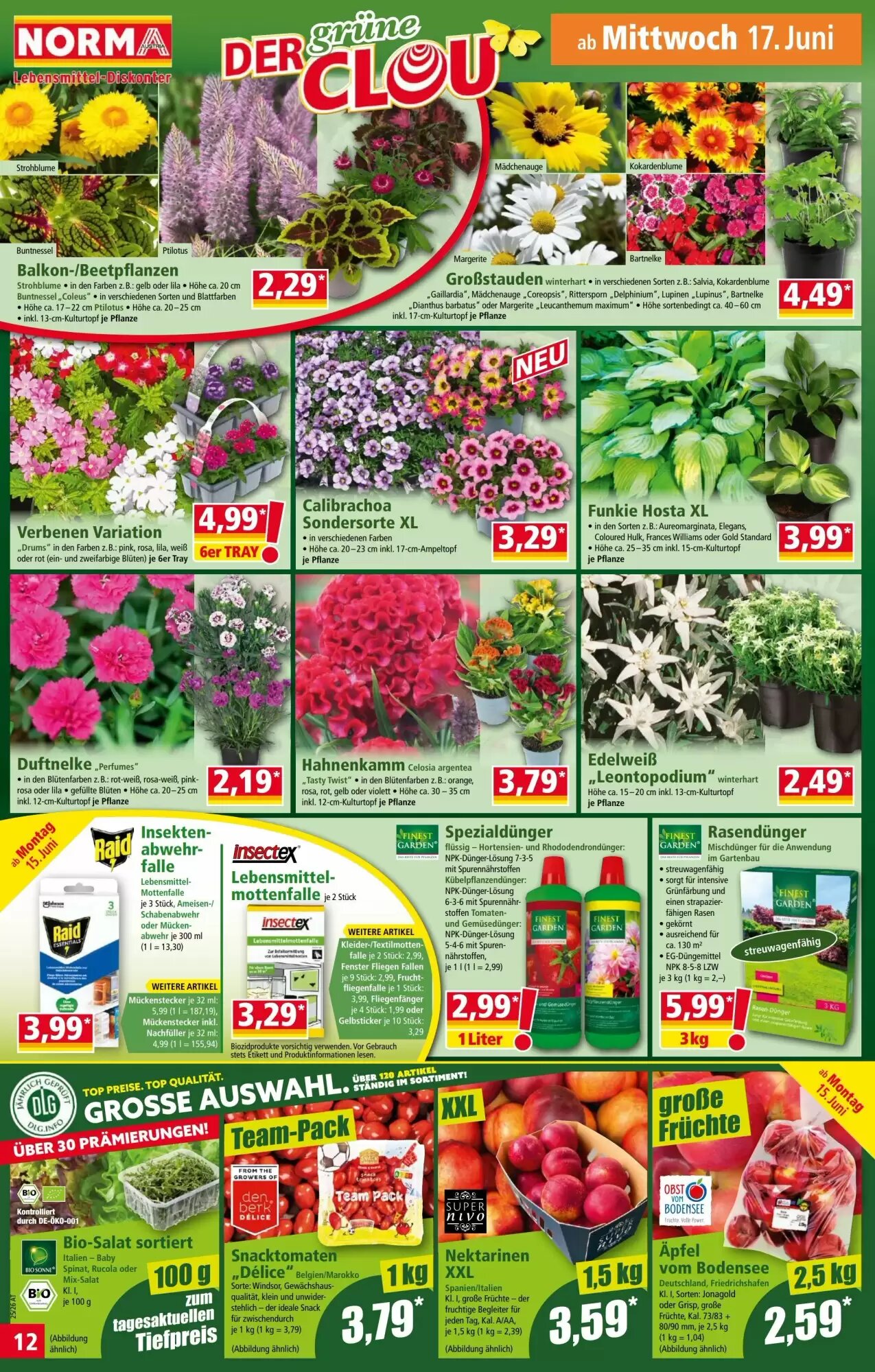 Norma Flugblatt (ab 15.06.2026) - Angebote und Prospekt - Seite 12