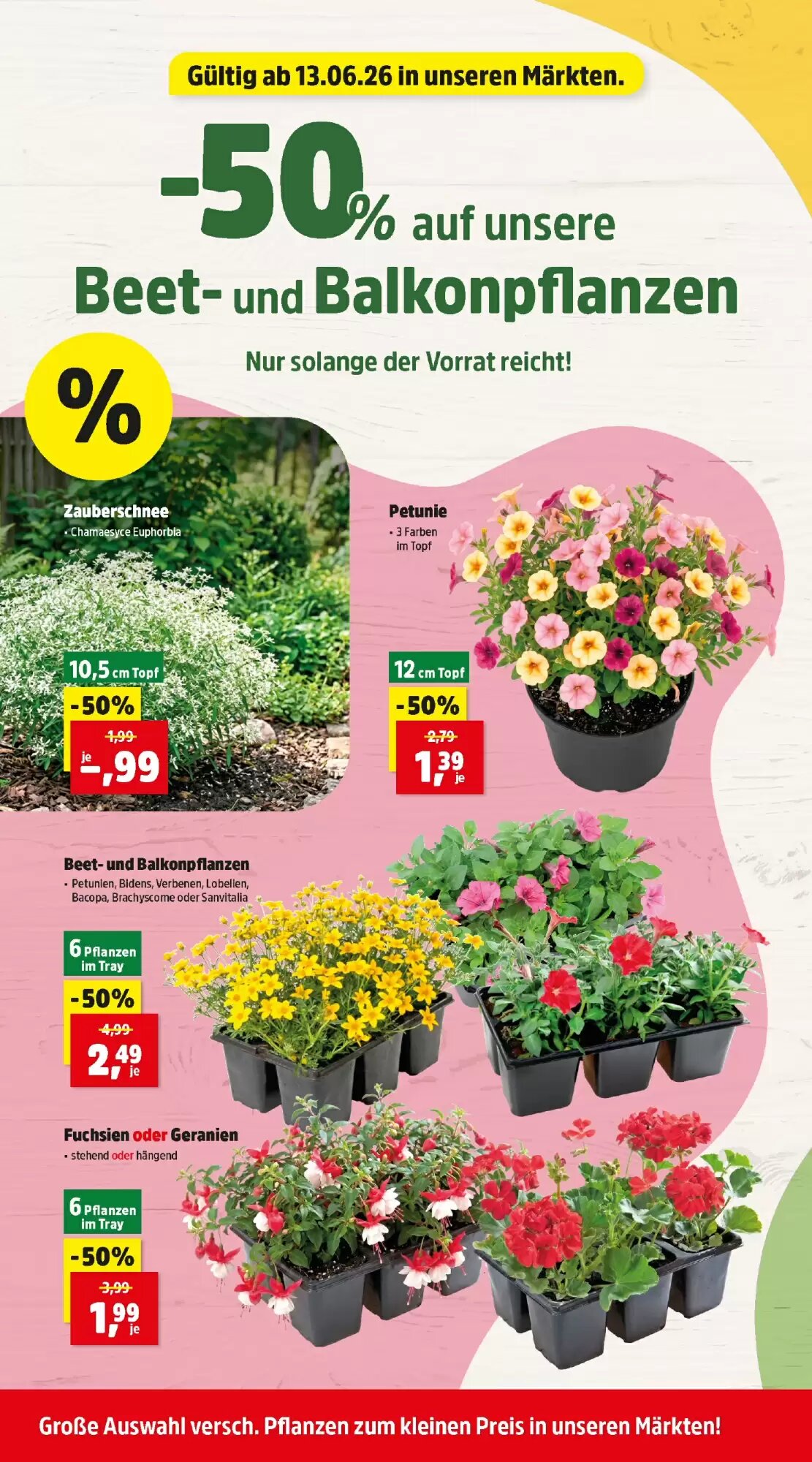 Thomas Philipps Flugblatt (ab 15.06.2026) - Angebote und Prospekt - Seite 4