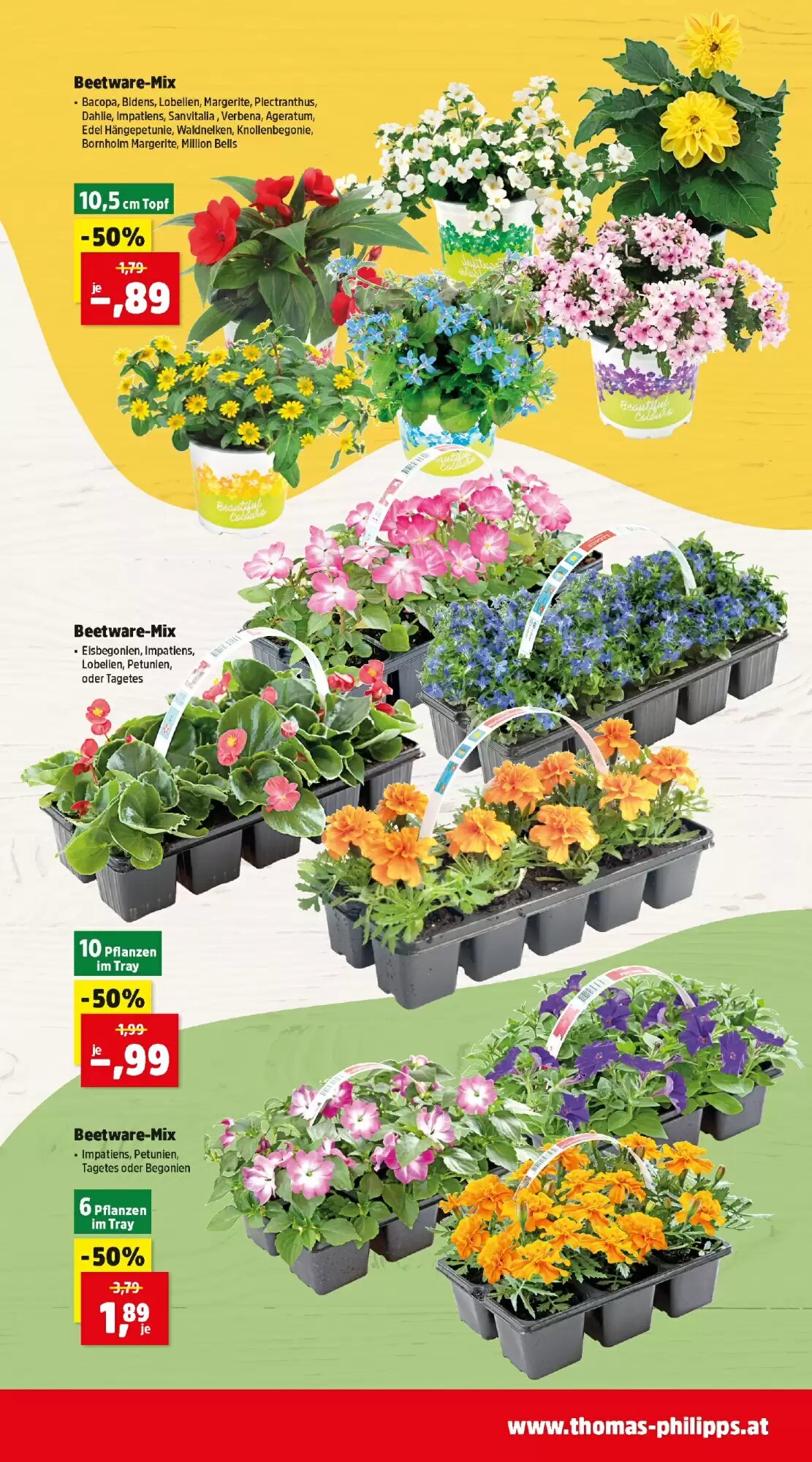 Thomas Philipps Flugblatt (ab 15.06.2026) - Angebote und Prospekt - Seite 5