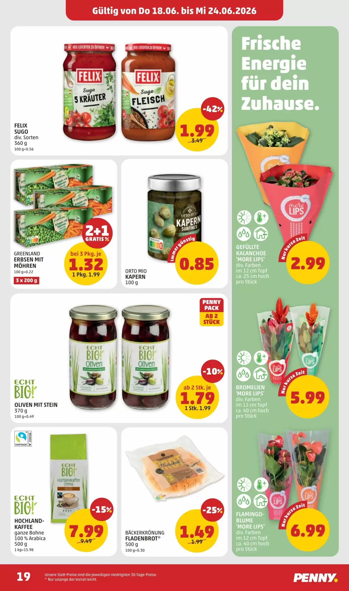 PENNY Flugblatt (ab 18.06.2026) - Angebote und Prospekt - Seite 19