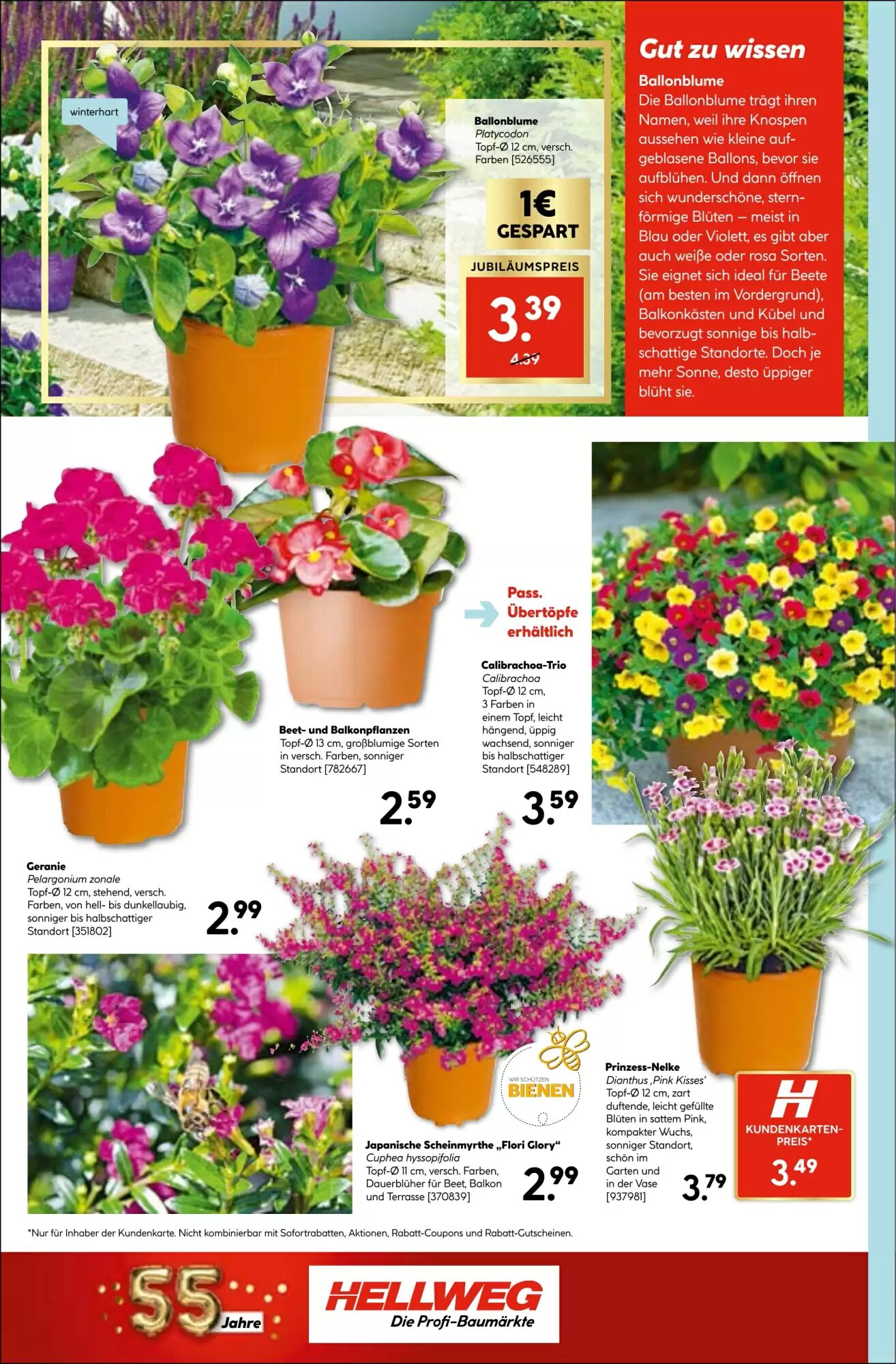 Hellweg Flugblatt (ab 18.06.2026) - Angebote und Prospekt - Seite 18