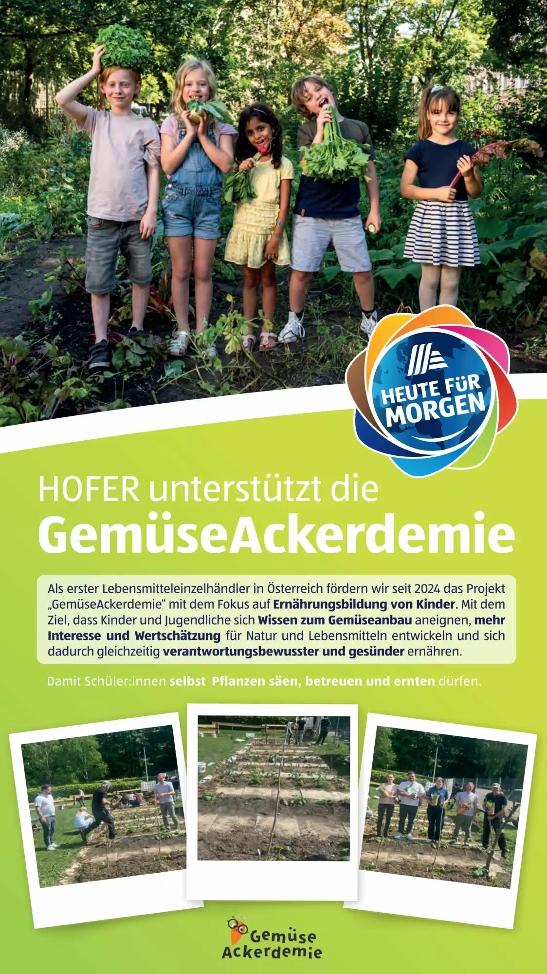 Hofer Flugblatt (ab 19.06.2026) - Angebote und Prospekt - Seite 21