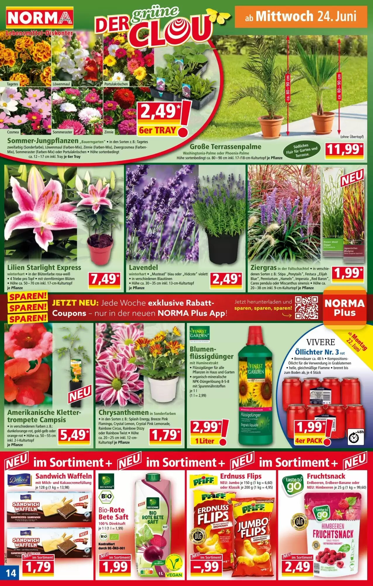 Norma Flugblatt (ab 22.06.2026) - Angebote und Prospekt - Seite 14