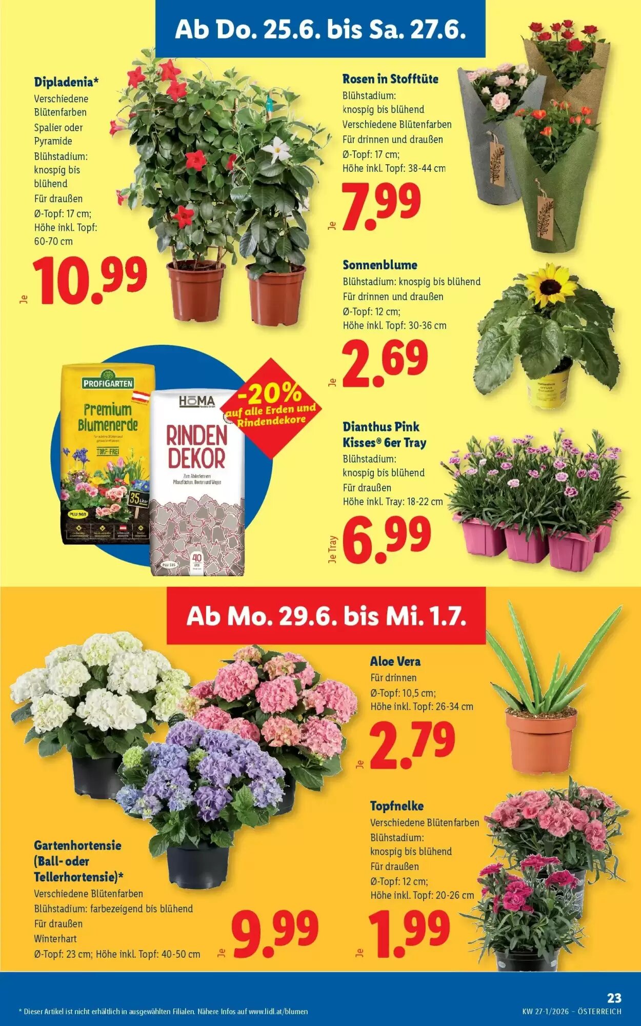 Lidl Flugblatt (ab 25.06.2026) - Angebote und Prospekt - Seite 27