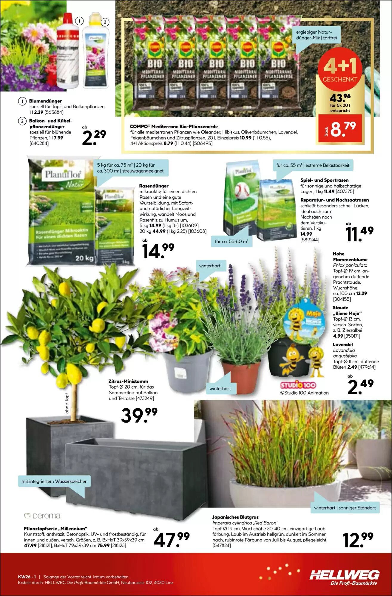 Hellweg Flugblatt (ab 25.06.2026) - Angebote und Prospekt - Seite 13