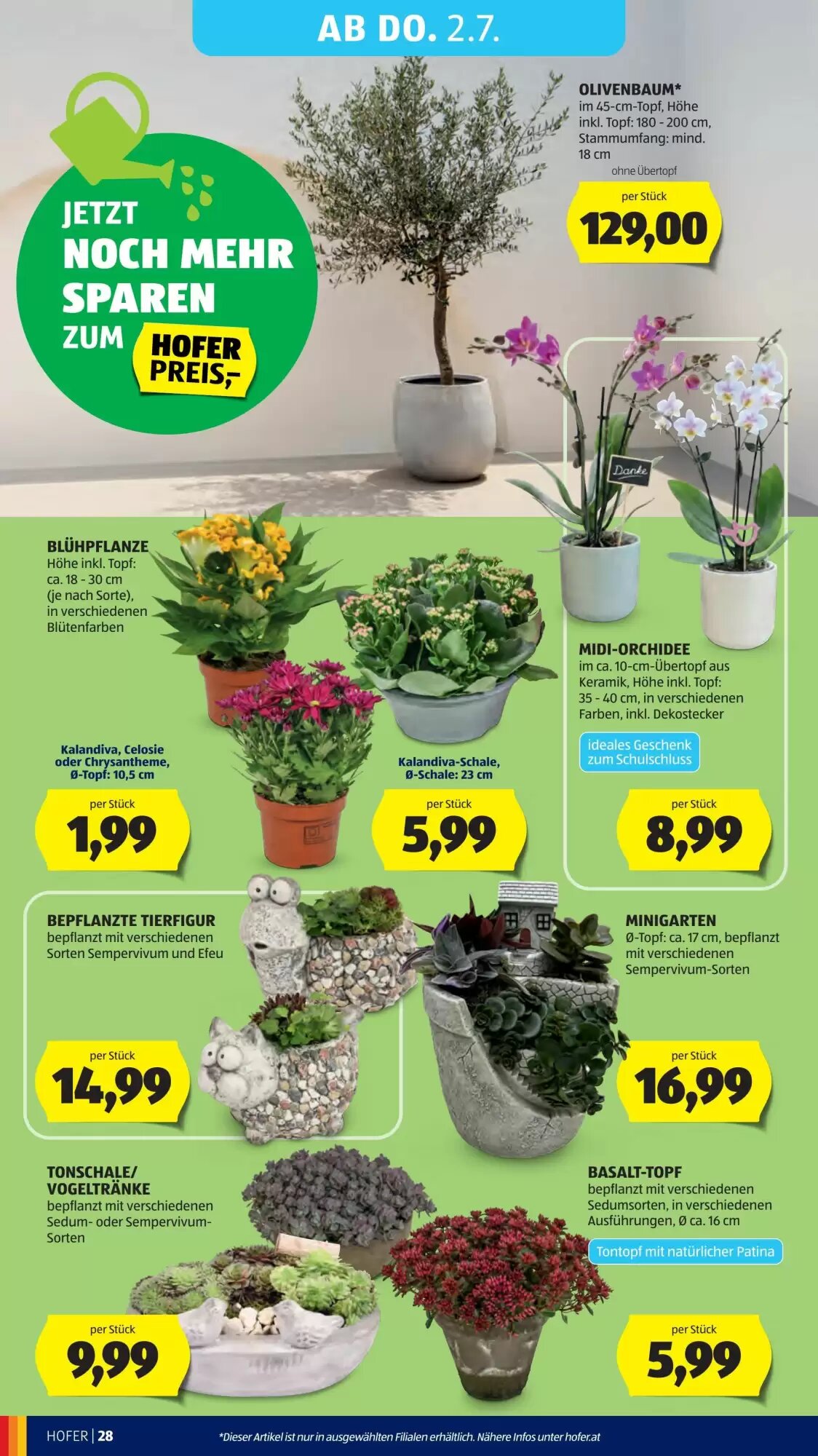 Hofer Flugblatt (ab 26.06.2026) - Angebote und Prospekt - Seite 33