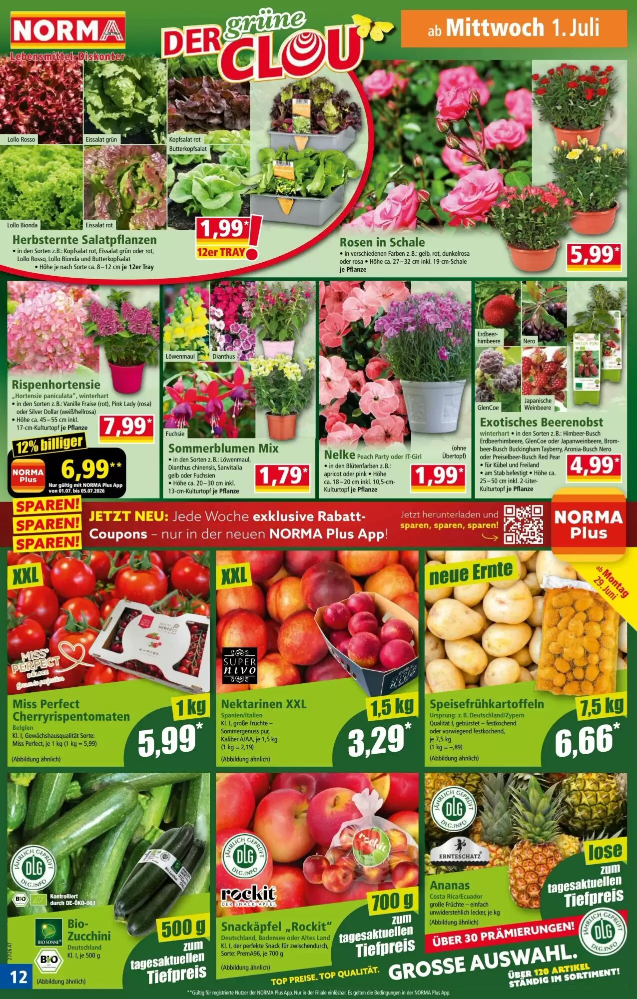 Norma Flugblatt (ab 29.06.2026) - Angebote und Prospekt - Seite 12