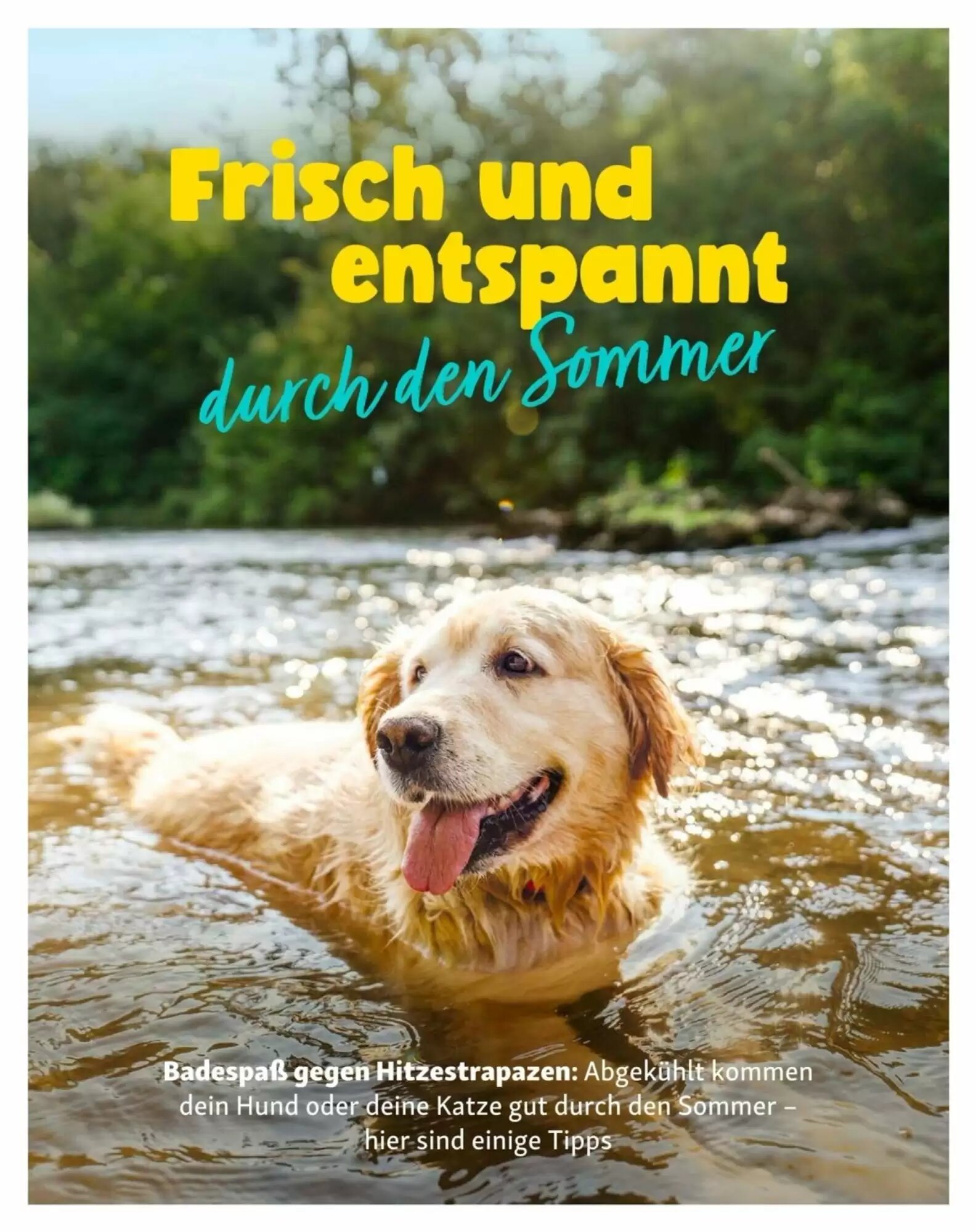 Fressnapf Flugblatt (ab 01.07.2026) - Angebote und Prospekt - Seite 16