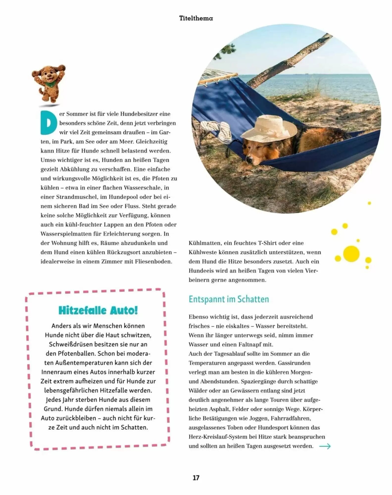 Fressnapf Flugblatt (ab 01.07.2026) - Angebote und Prospekt - Seite 17