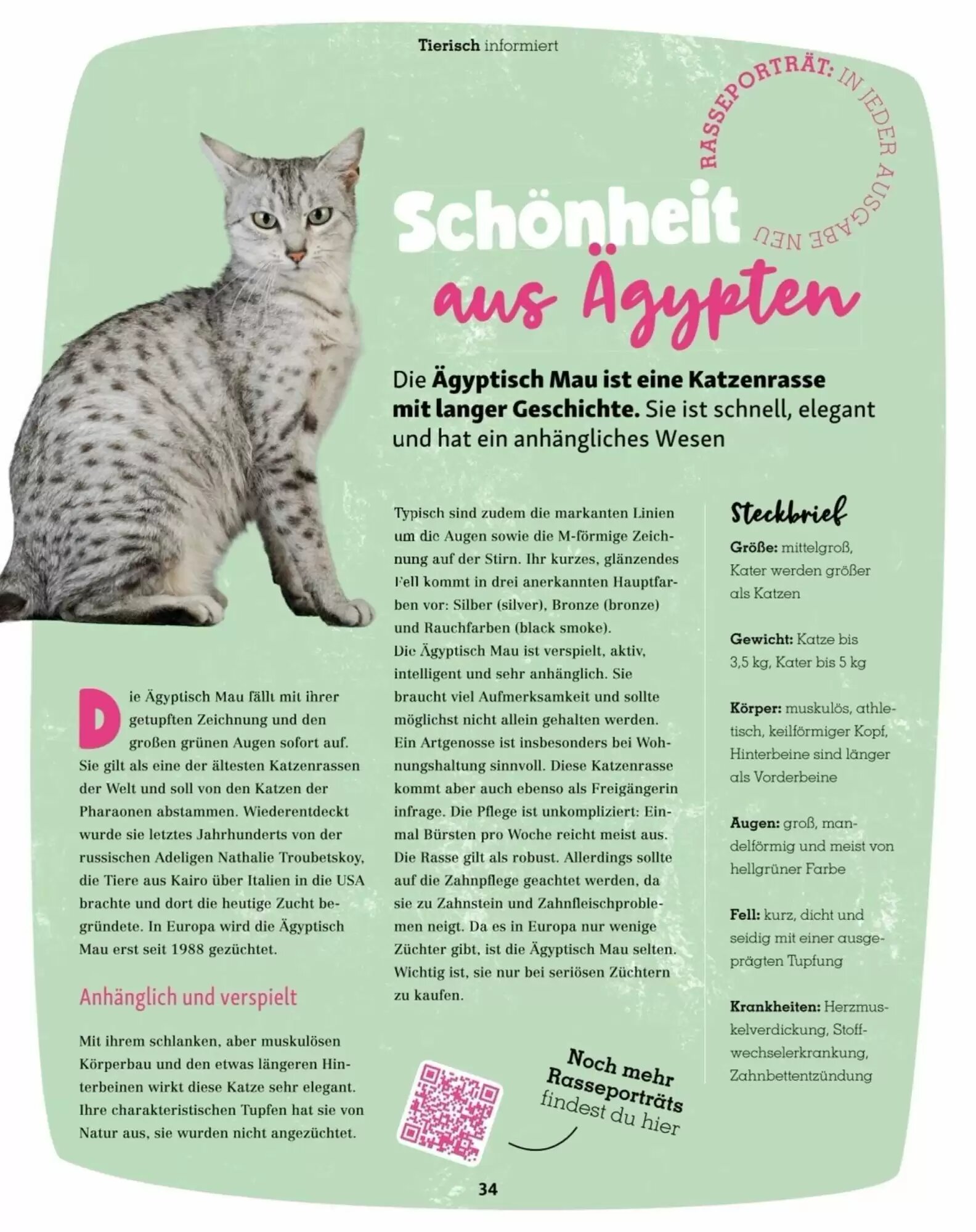 Fressnapf Flugblatt (ab 01.07.2026) - Angebote und Prospekt - Seite 34