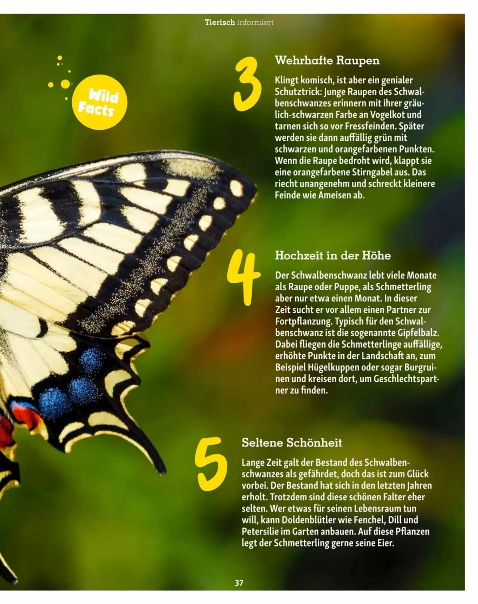 Fressnapf Flugblatt (ab 01.07.2026) - Angebote und Prospekt - Seite 37