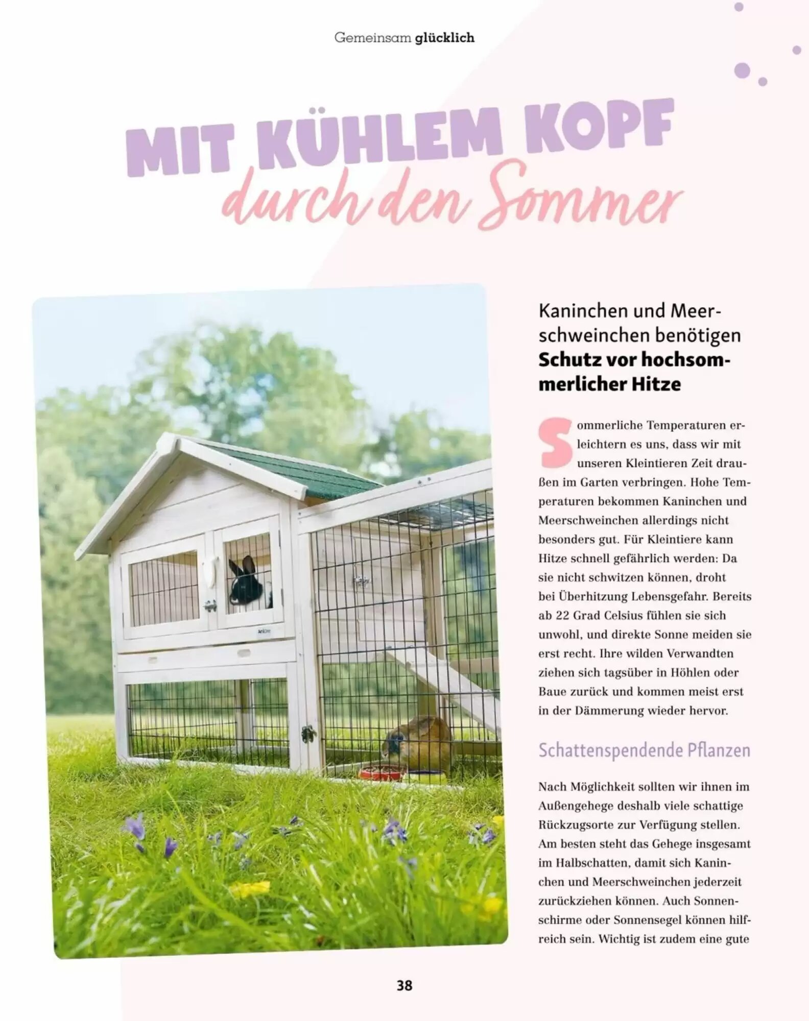 Fressnapf Flugblatt (ab 01.07.2026) - Angebote und Prospekt - Seite 38