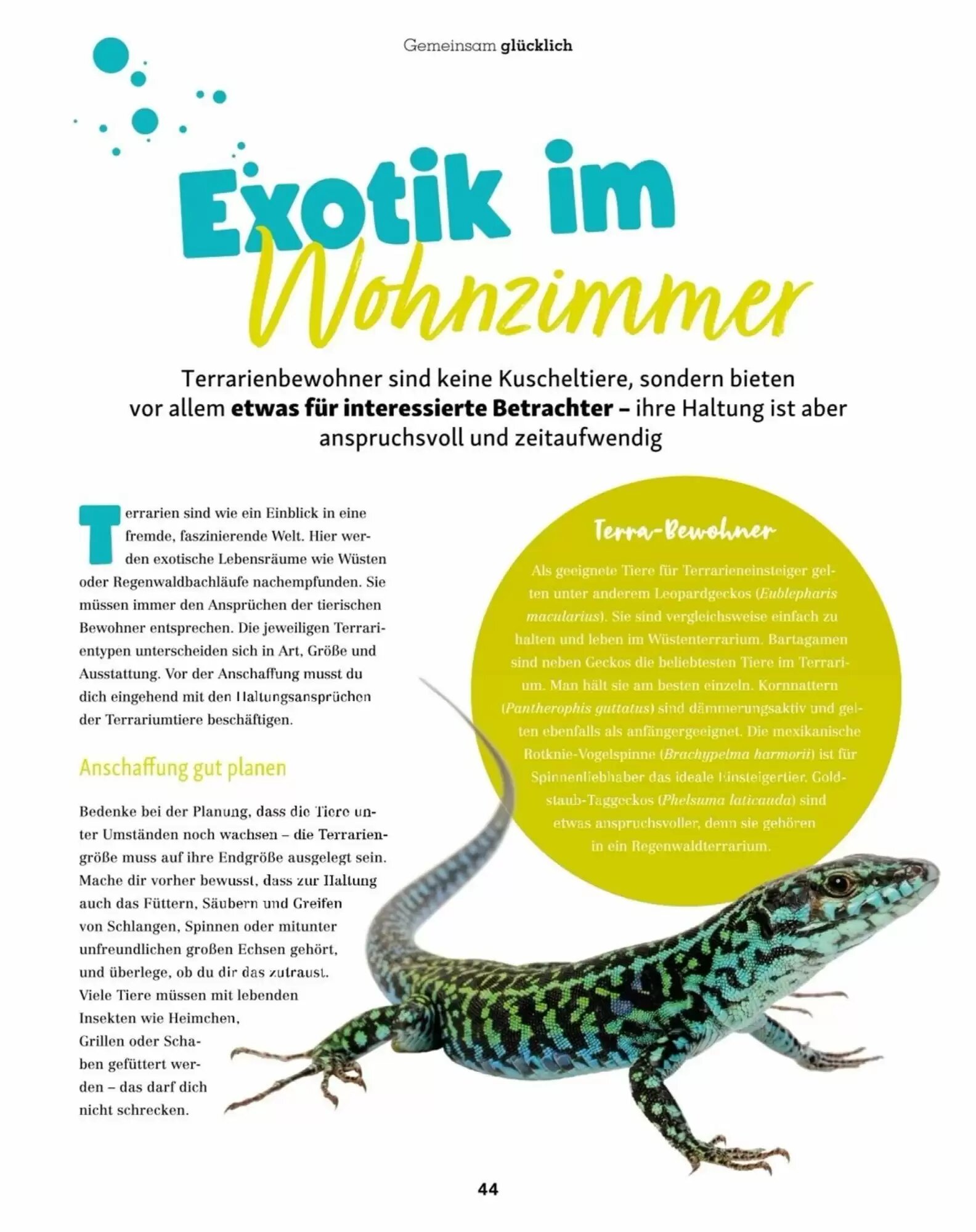 Fressnapf Flugblatt (ab 01.07.2026) - Angebote und Prospekt - Seite 44