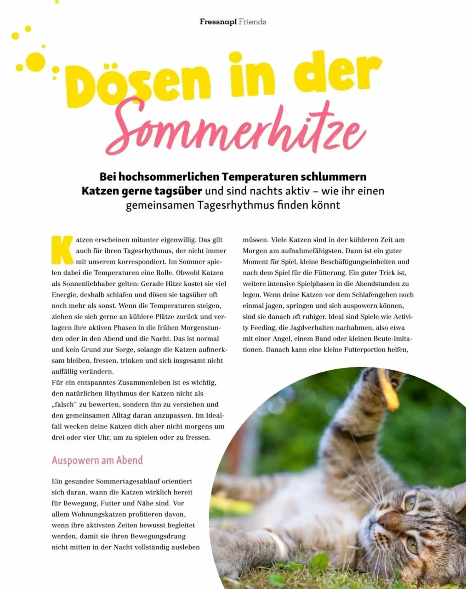 Fressnapf Flugblatt (ab 01.07.2026) - Angebote und Prospekt - Seite 46