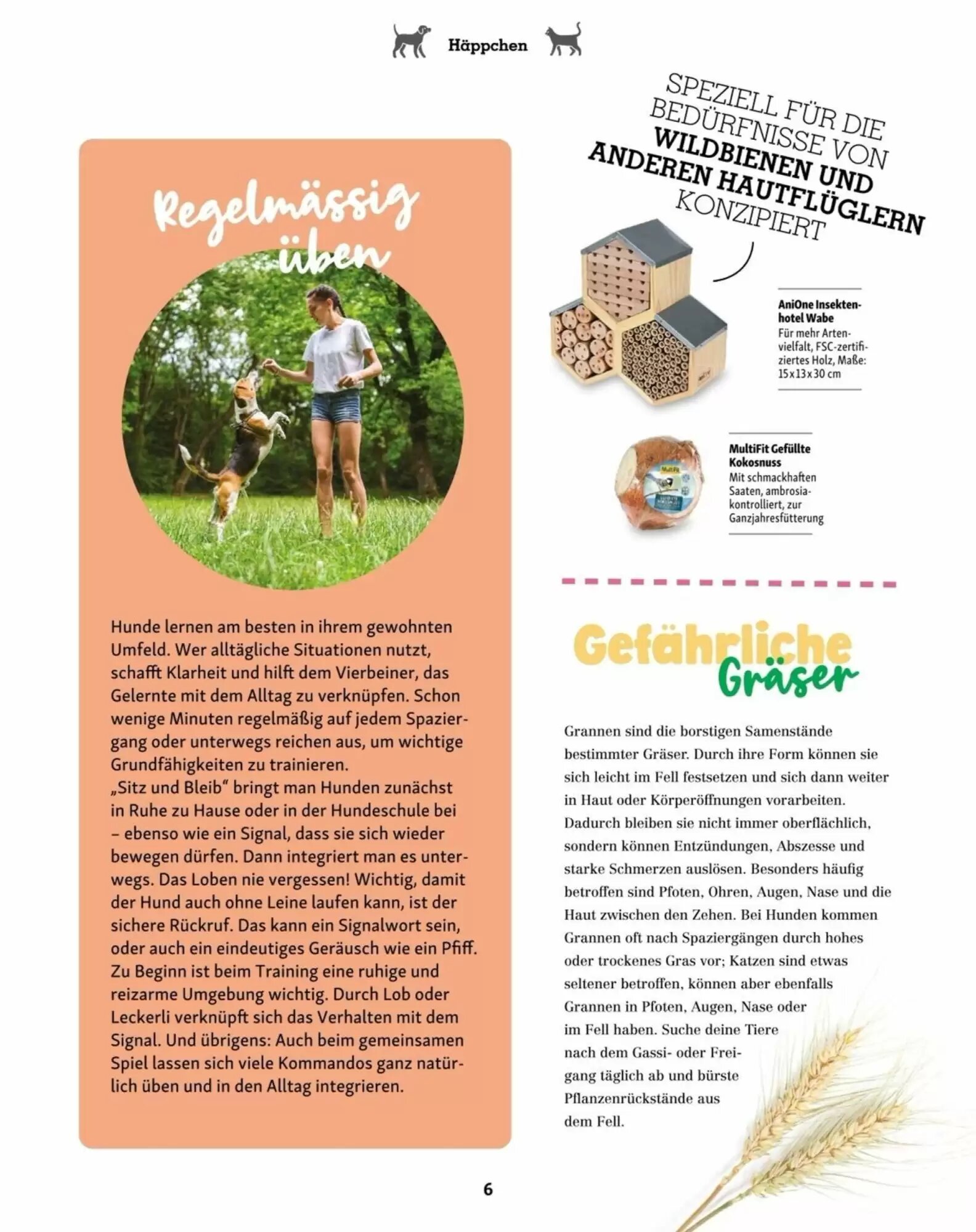 Fressnapf Flugblatt (ab 01.07.2026) - Angebote und Prospekt - Seite 6