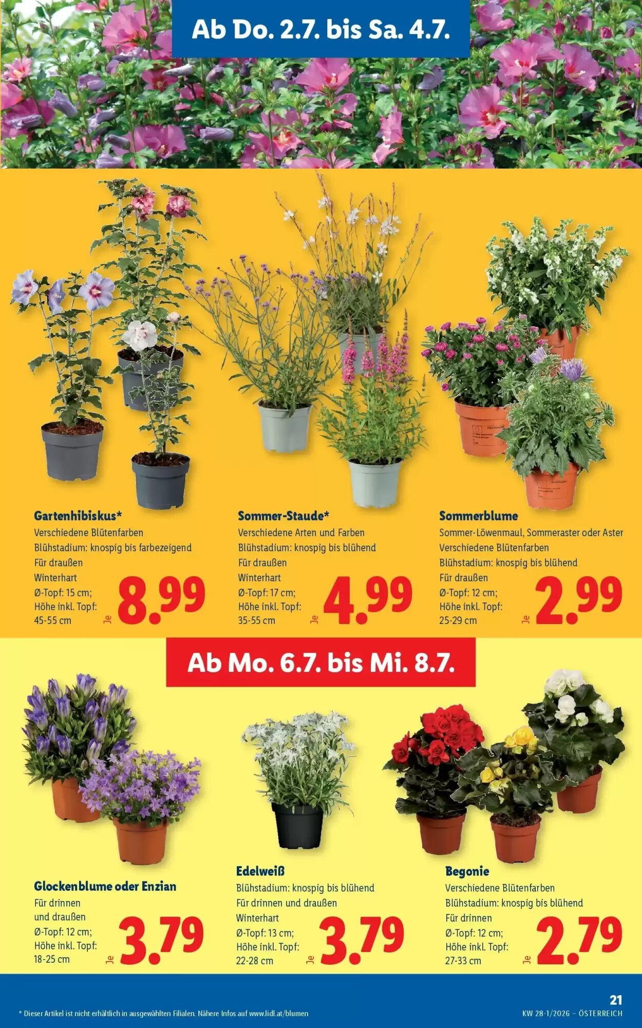 Lidl Flugblatt (ab 02.07.2026) - Angebote und Prospekt - Seite 25