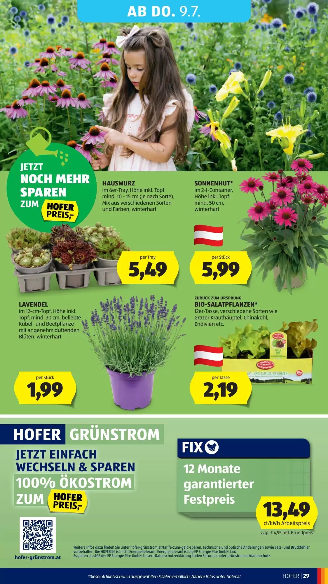 Hofer Flugblatt (ab 03.07.2026) - Angebote und Prospekt - Seite 35