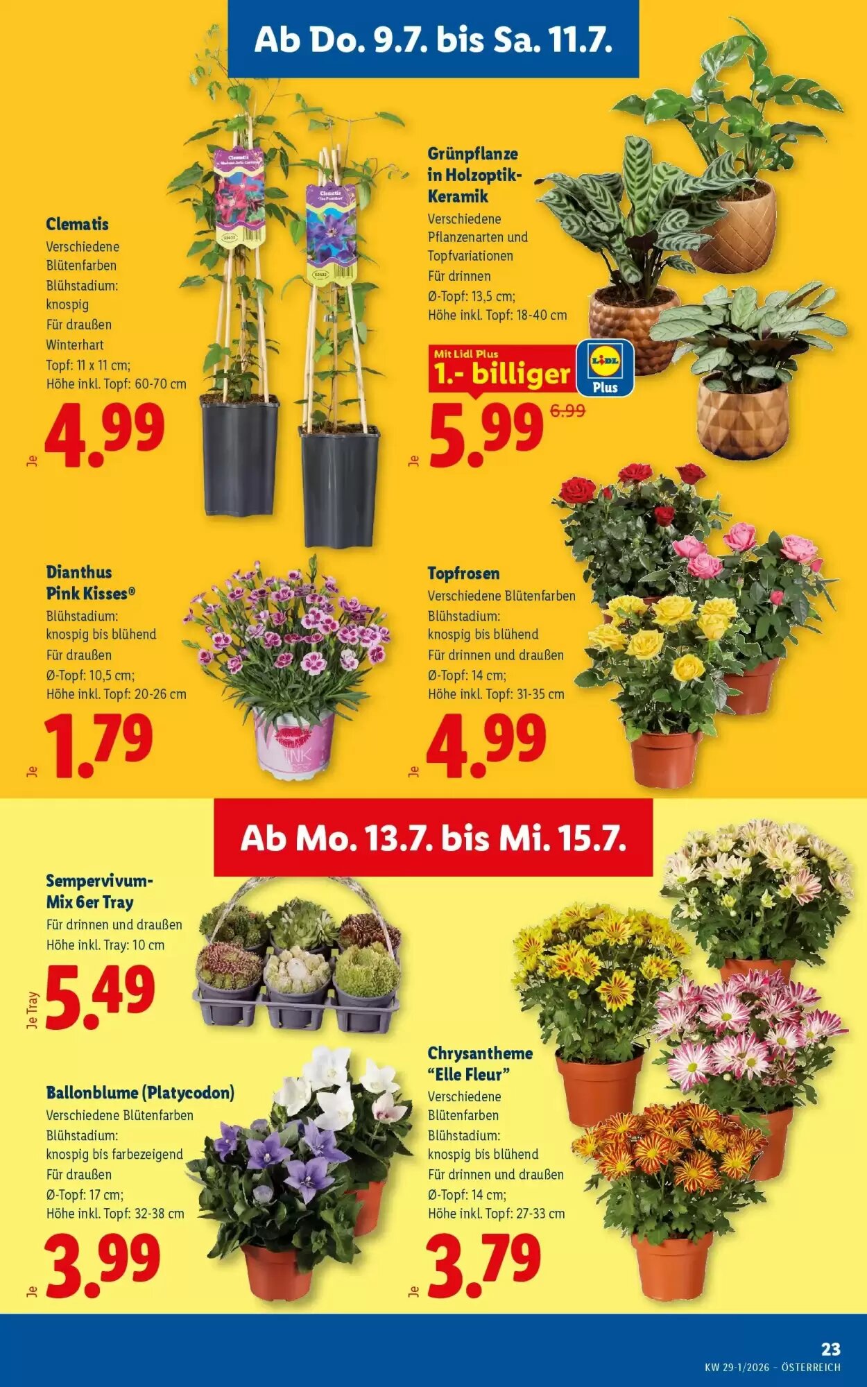 Lidl Flugblatt (ab 09.07.2026) - Angebote und Prospekt - Seite 27