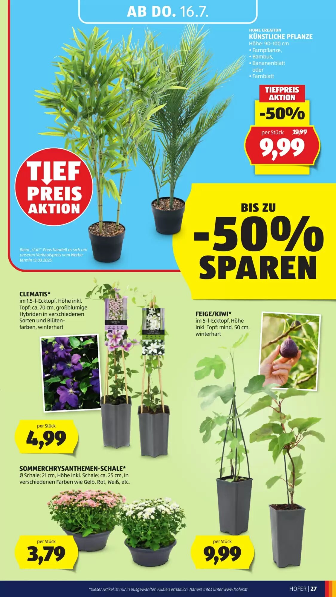 Hofer Flugblatt (ab 10.07.2026) - Angebote und Prospekt - Seite 33