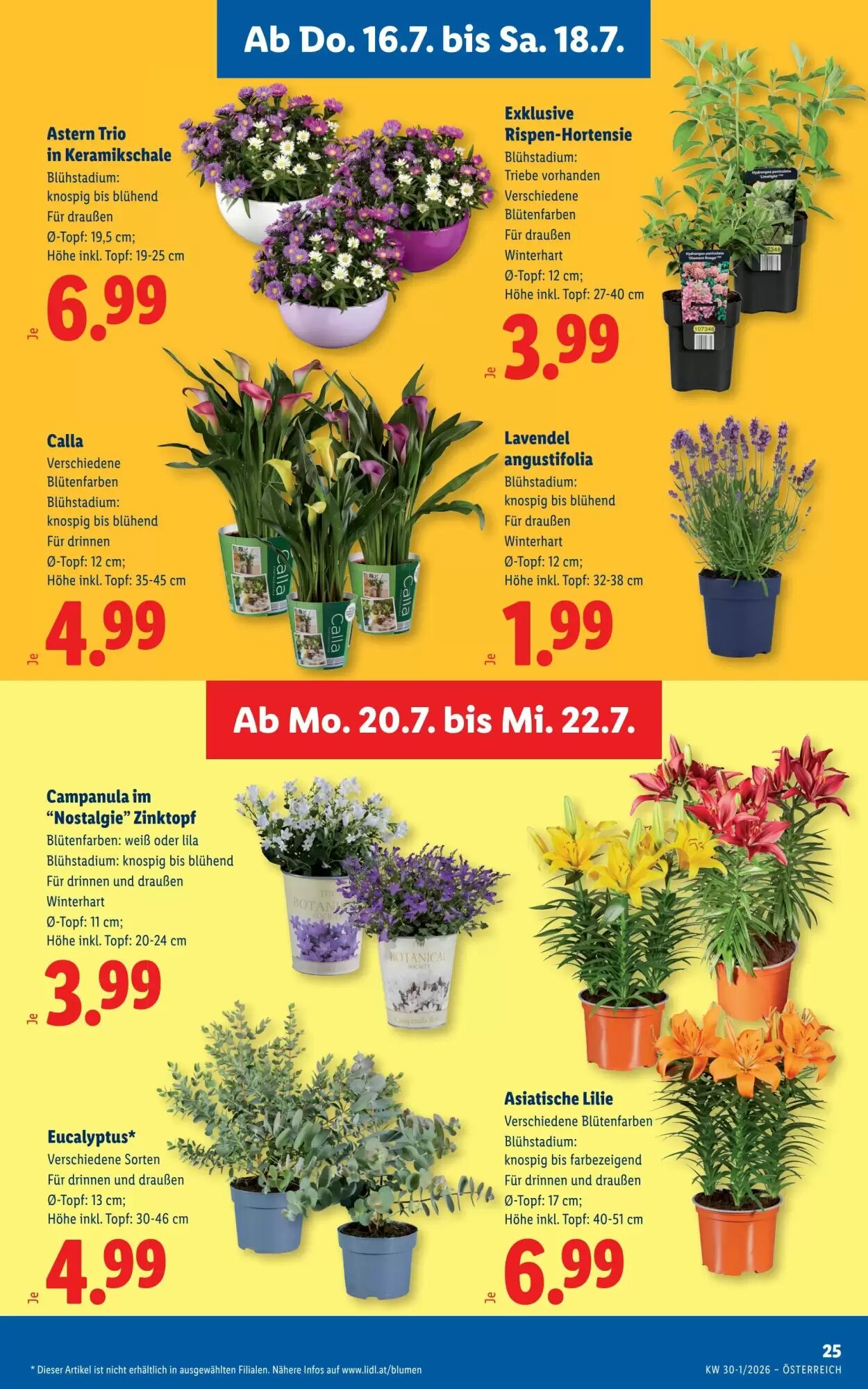 Lidl Flugblatt (ab 16.07.2026) - Angebote und Prospekt - Seite 29