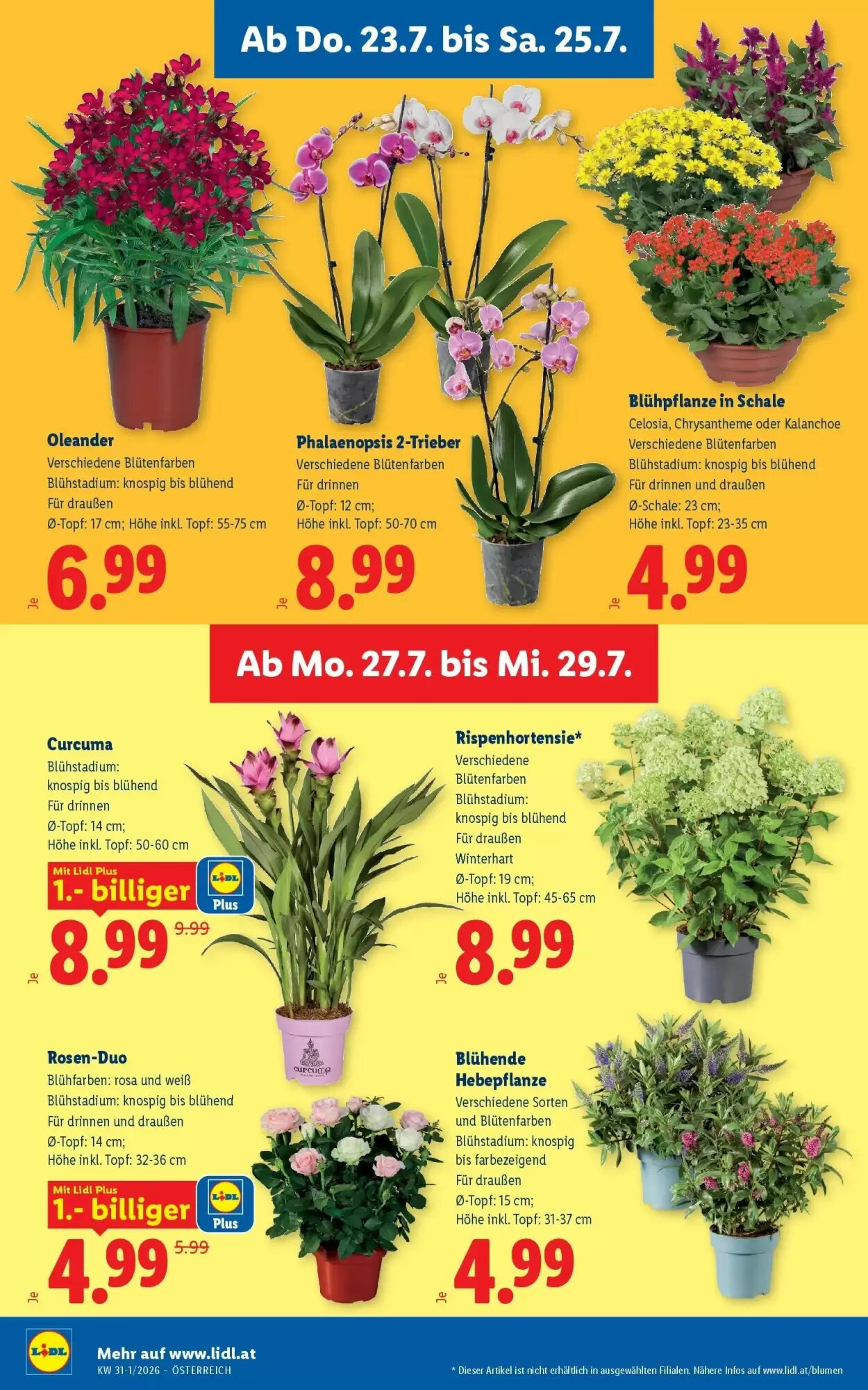 Lidl Flugblatt (ab 23.07.2026) - Angebote und Prospekt - Seite 30