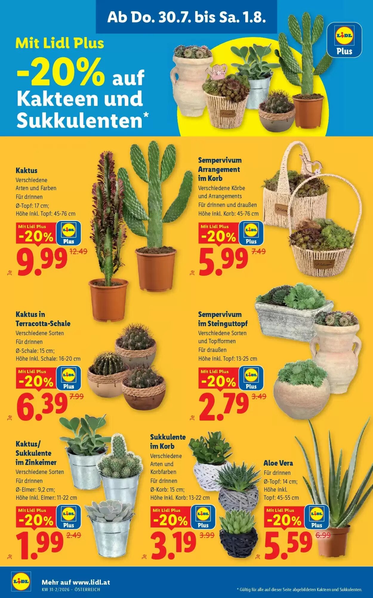 Lidl Flugblatt (ab 30.07.2026) - Angebote und Prospekt - Seite 26