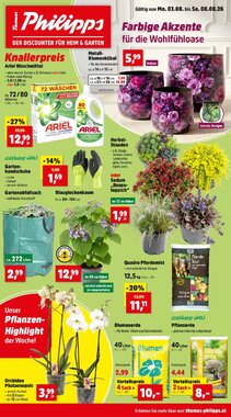 Thomas Philipps Flugblatt (ab 03.08.2026) - Angebote und Prospekt