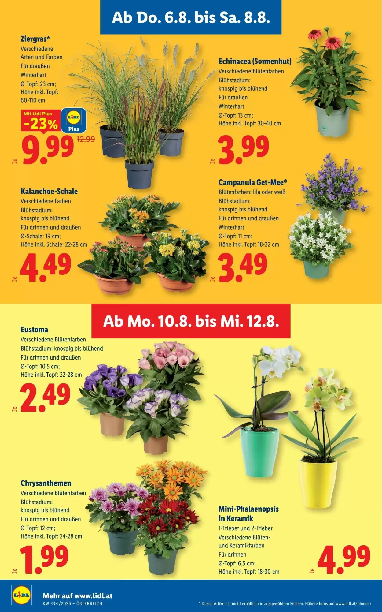 Lidl Flugblatt (ab 06.08.2026) - Angebote und Prospekt - Seite 30