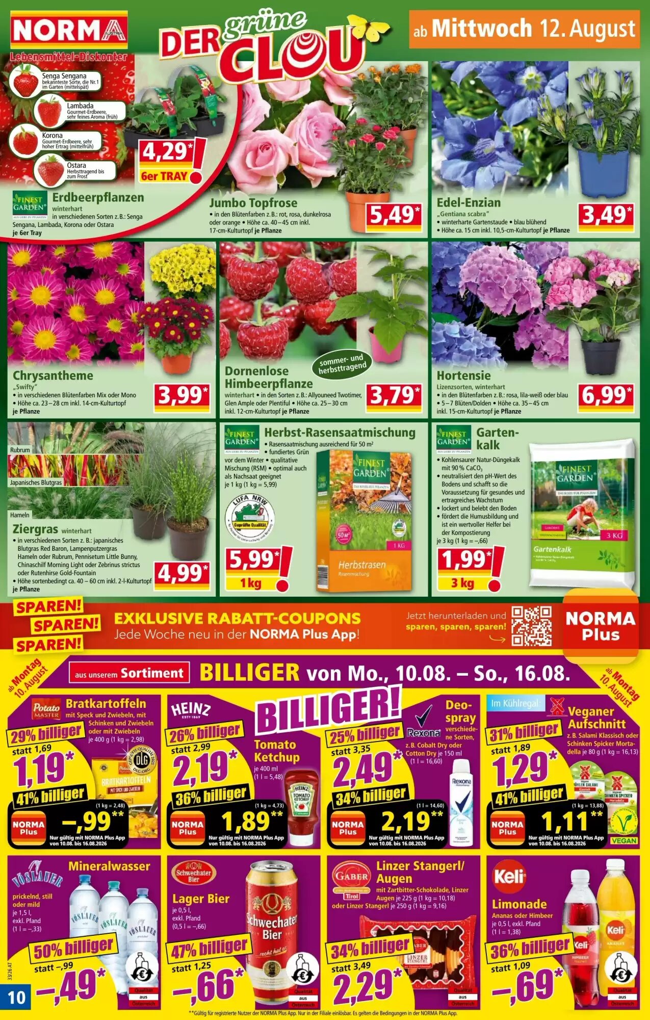 Norma Flugblatt (ab 10.08.2026) - Angebote und Prospekt - Seite 10