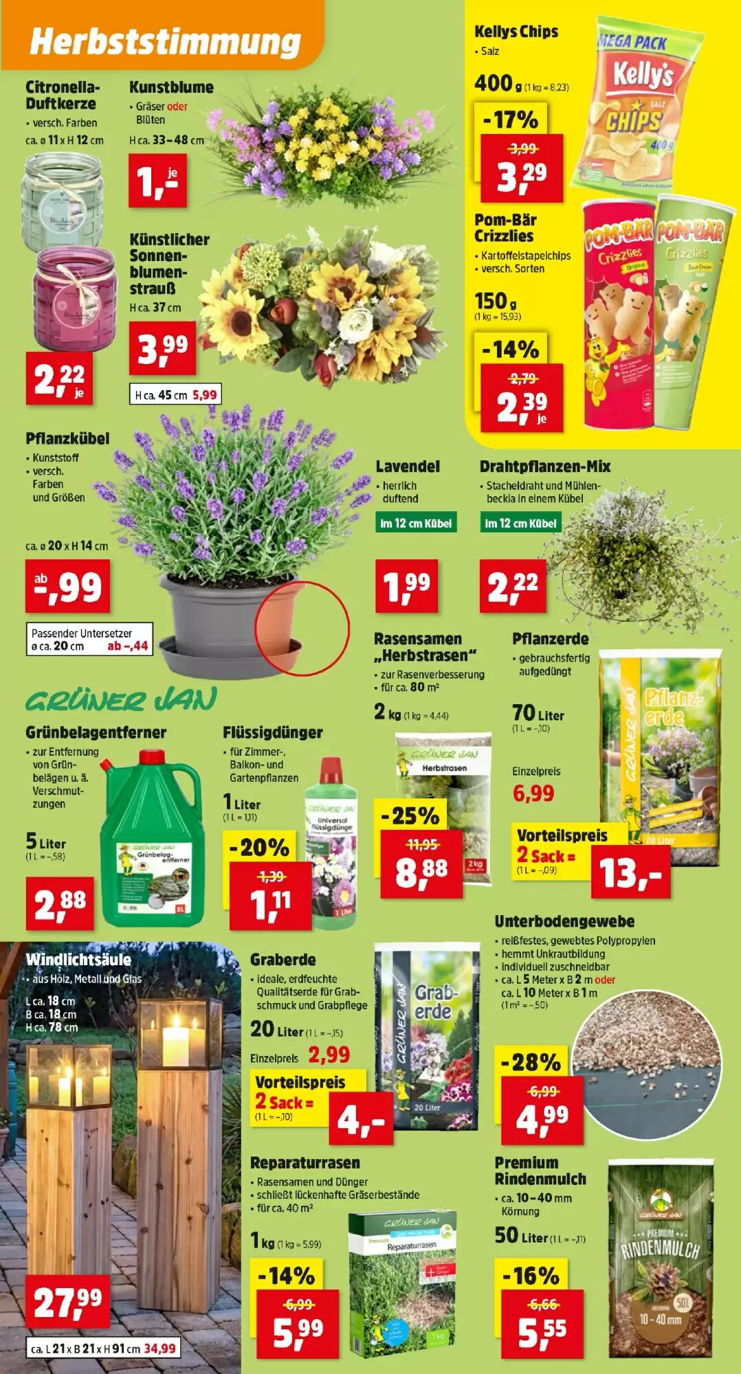 Thomas Philipps Flugblatt (ab 10.08.2026) - Angebote und Prospekt - Seite 5