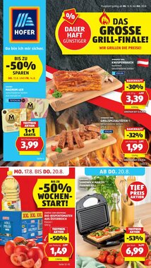 Hofer Flugblatt (ab 12.08.2026) - Angebote und Prospekt