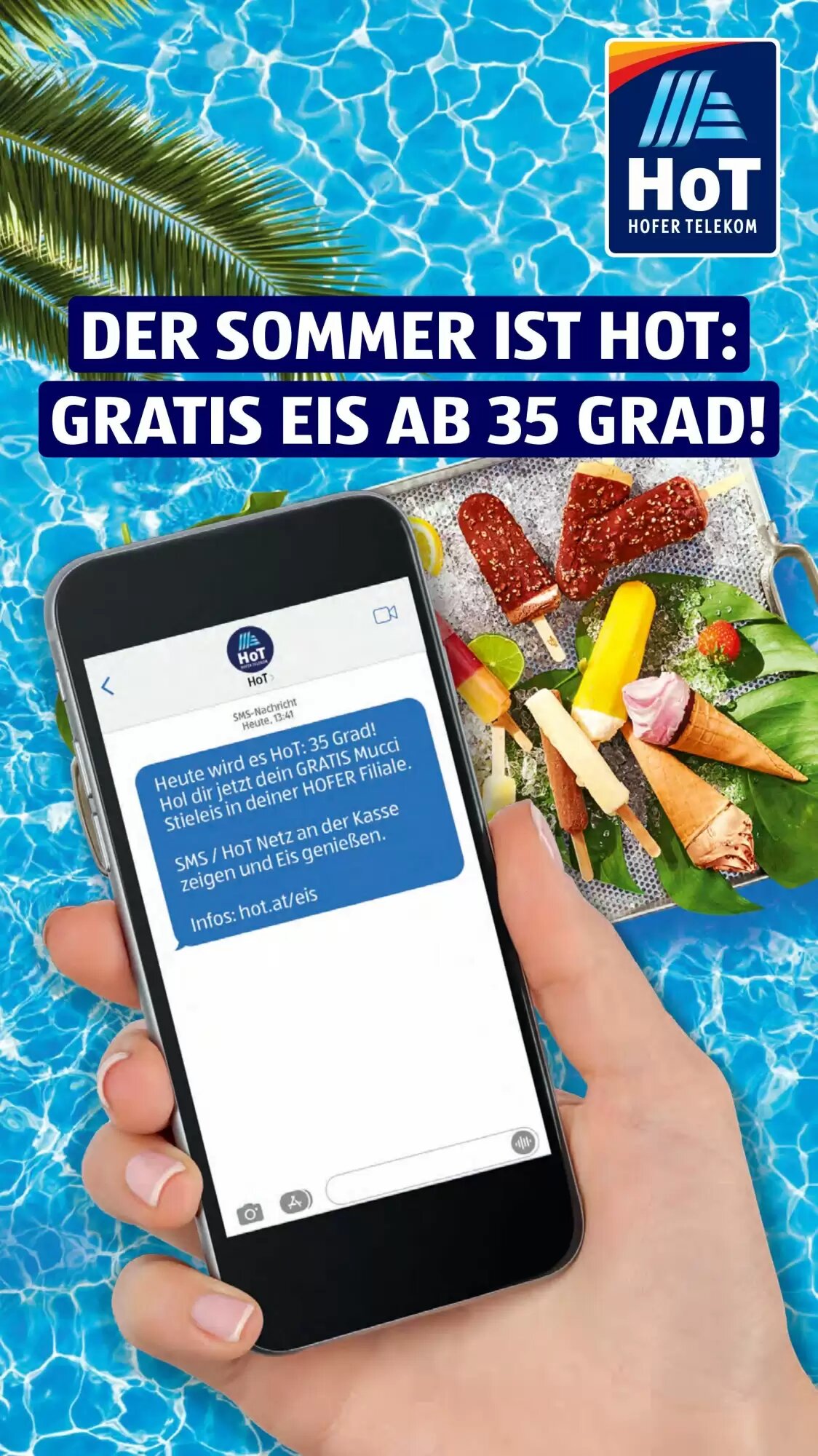 Hofer Flugblatt (ab 12.08.2026) - Angebote und Prospekt - Seite 29