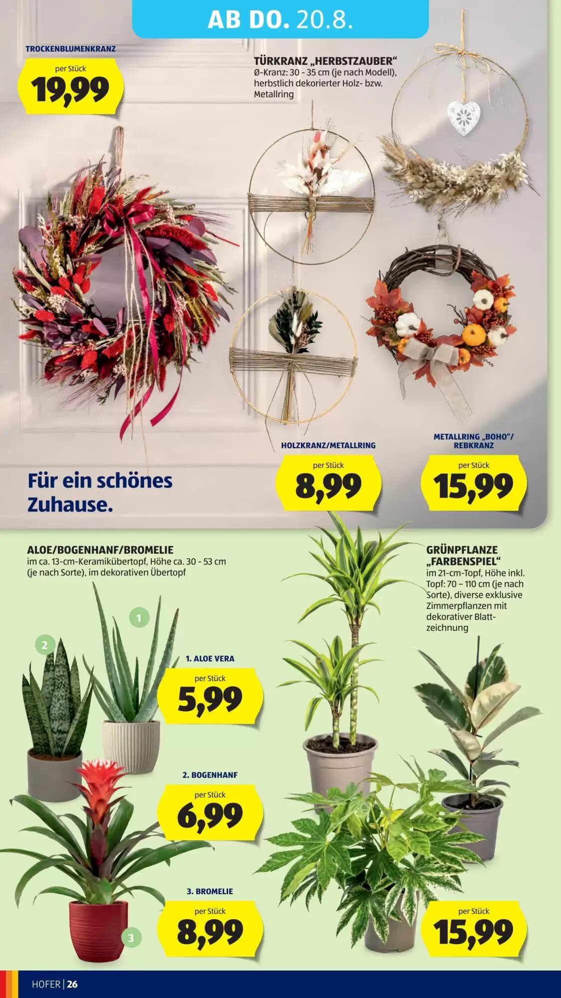 Hofer Flugblatt (ab 12.08.2026) - Angebote und Prospekt - Seite 40