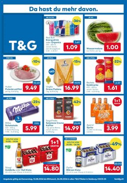 T&G Flugblatt (ab 13.08.2026) - Angebote und Prospekt