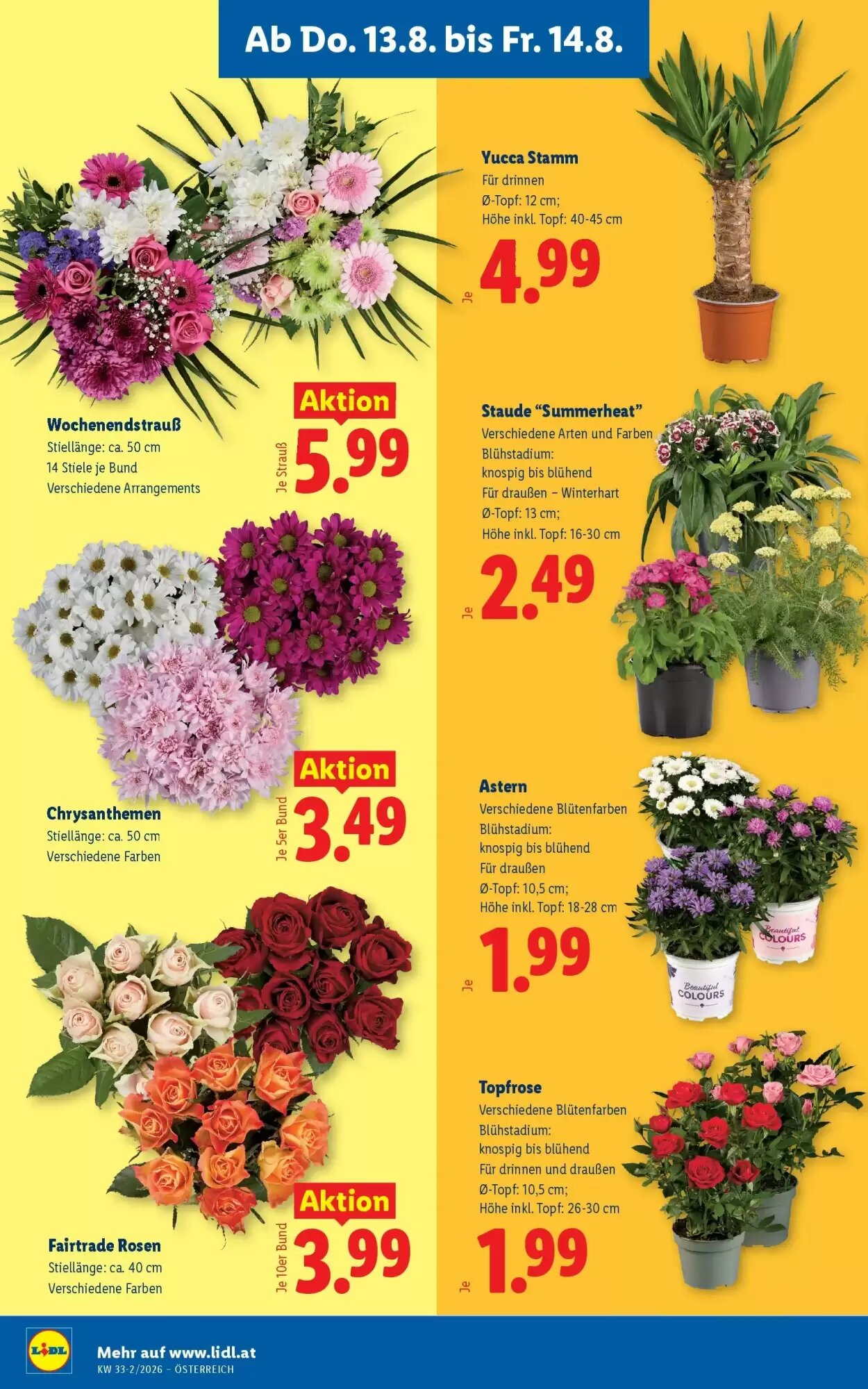 Lidl Flugblatt (ab 13.08.2026) - Angebote und Prospekt - Seite 26