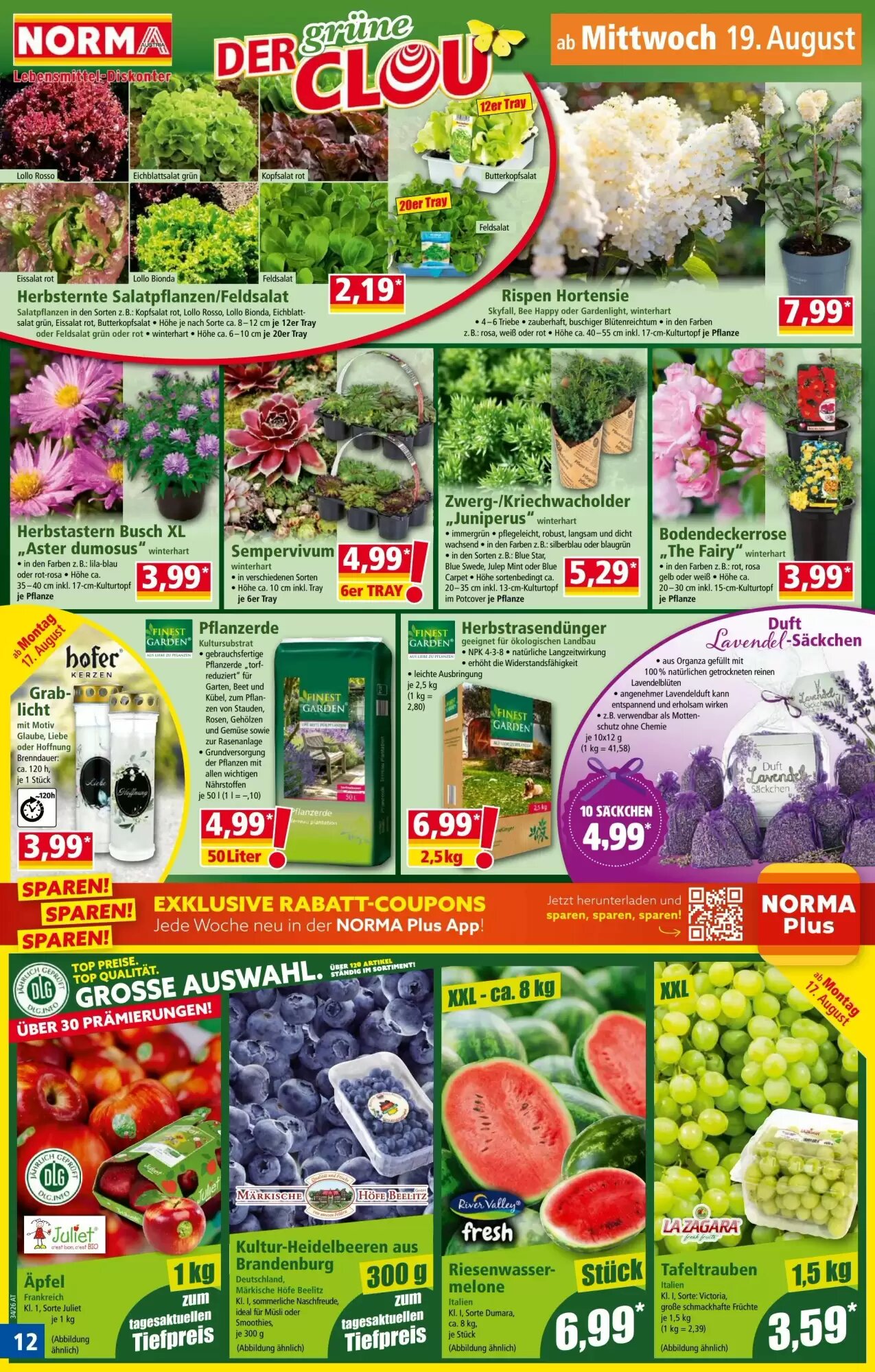 Norma Flugblatt (ab 17.08.2026) - Angebote und Prospekt - Seite 12