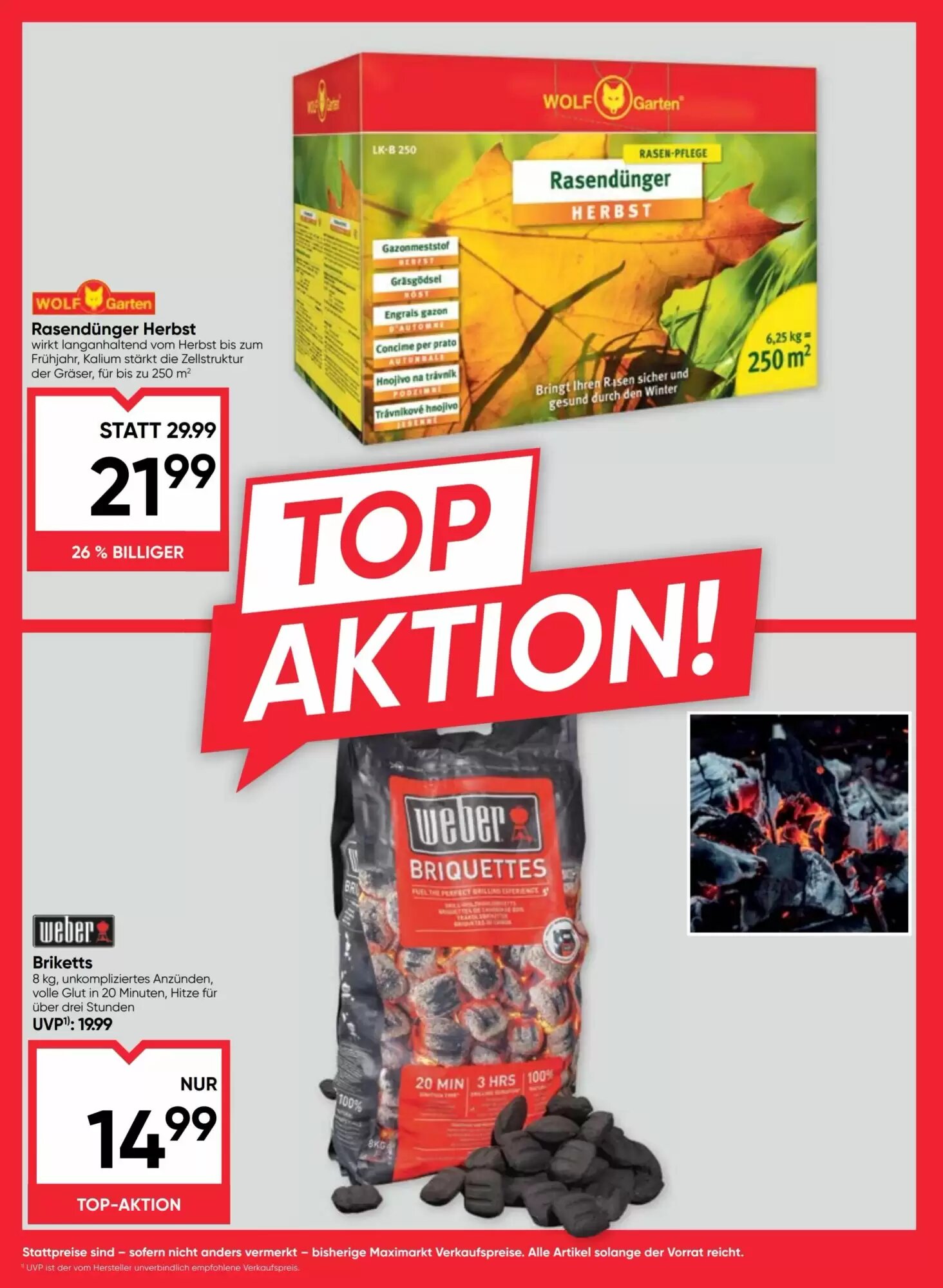 Maximarkt Flugblatt (ab 20.08.2026) - Angebote und Prospekt - Seite 8