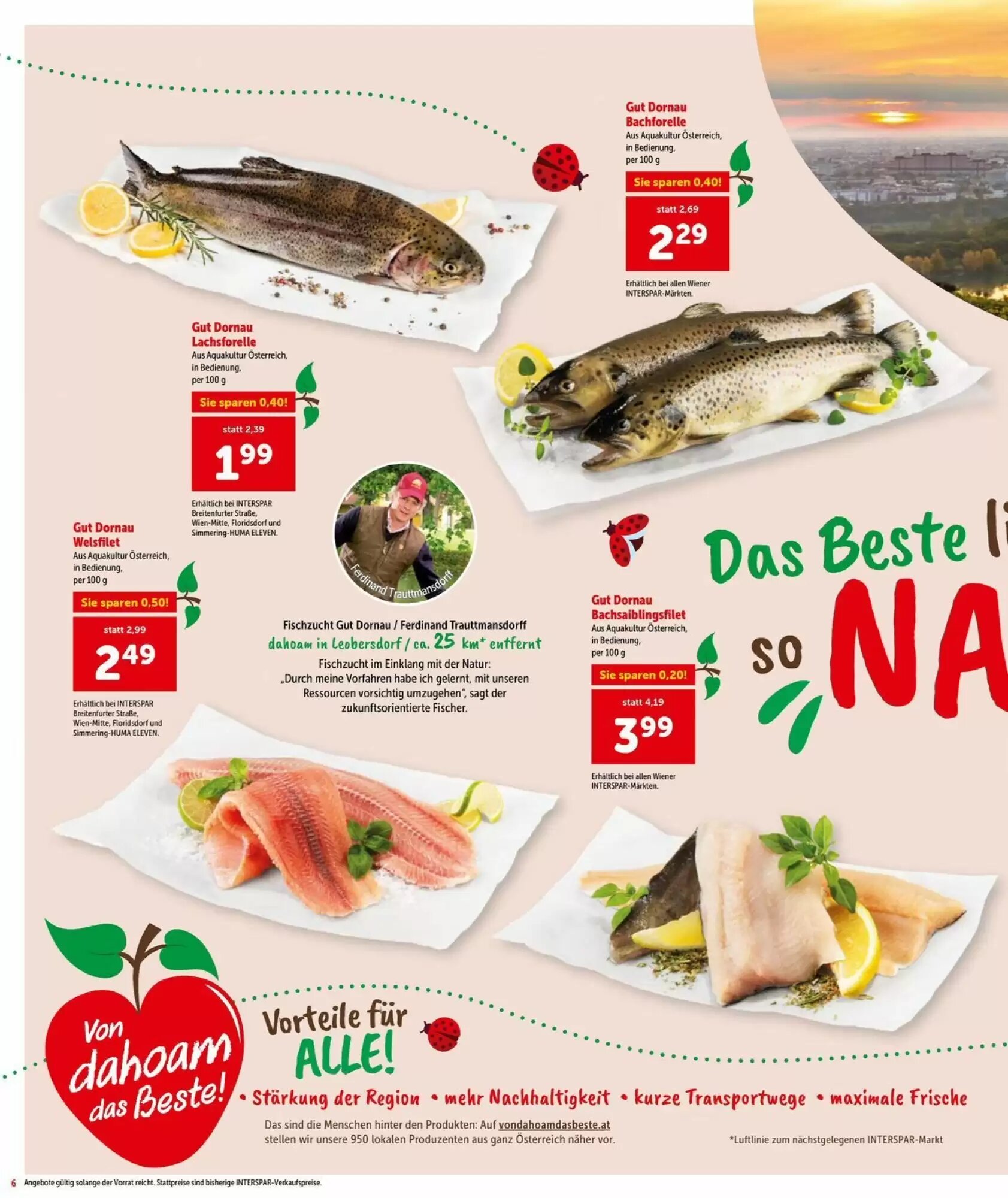 Interspar Flugblatt (ab 20.08.2026) - Angebote und Prospekt - Seite 6