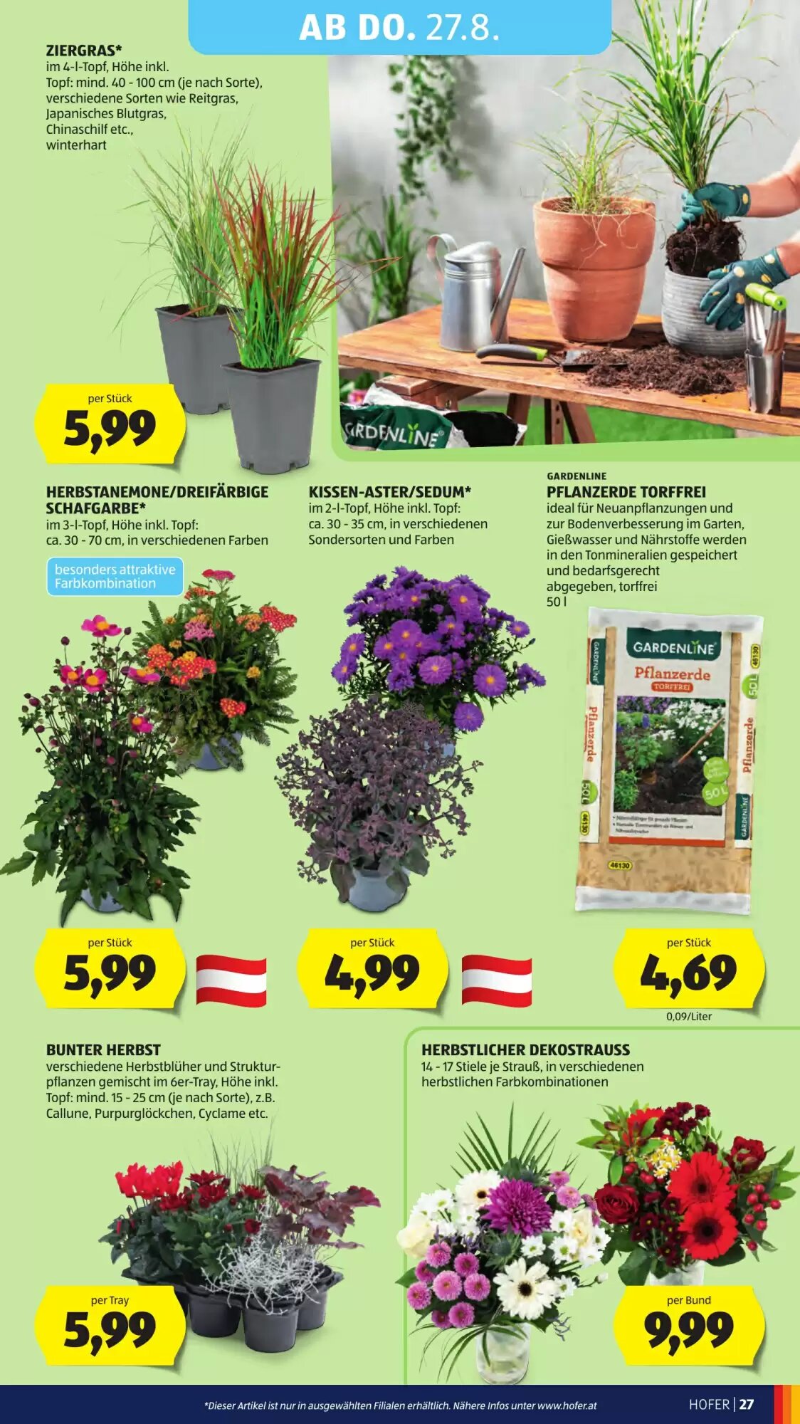 Hofer Flugblatt (ab 21.08.2026) - Angebote und Prospekt - Seite 39