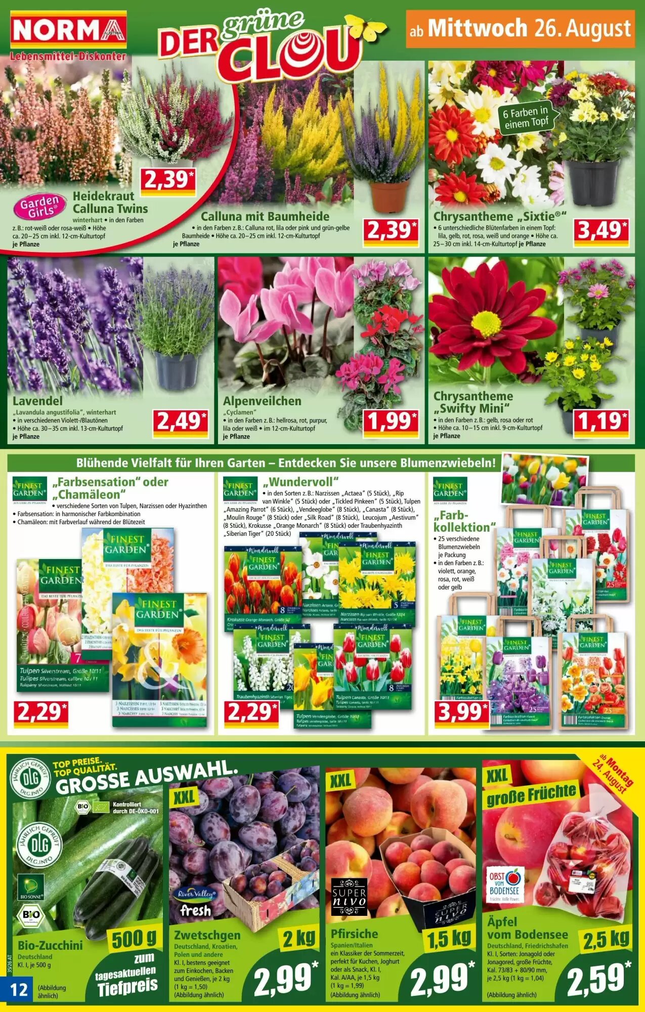 Norma Flugblatt (ab 24.08.2026) - Angebote und Prospekt - Seite 12