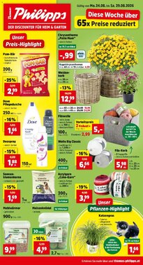 Thomas Philipps Flugblatt (ab 24.08.2026) - Angebote und Prospekt