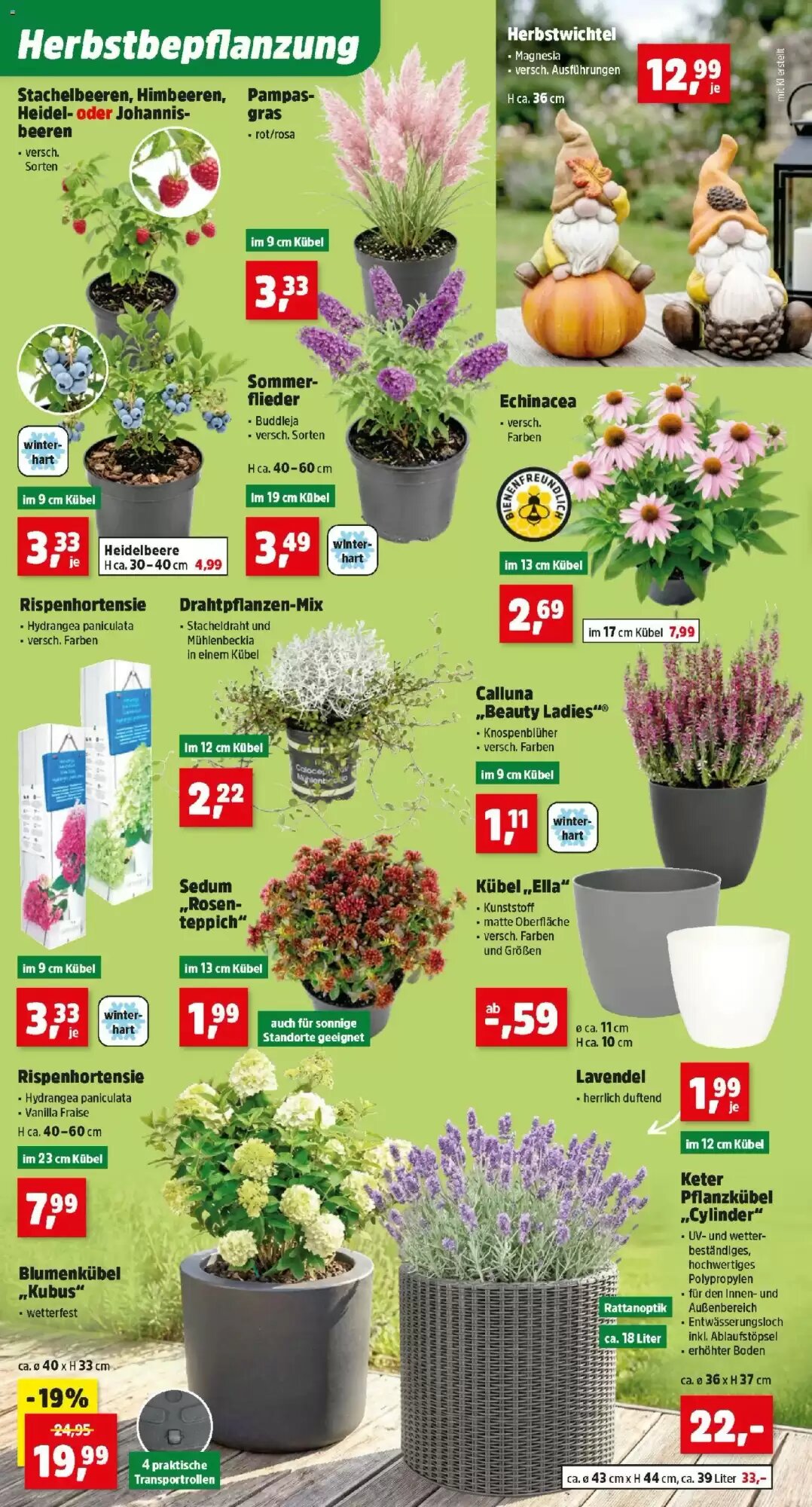 Thomas Philipps Flugblatt (ab 24.08.2026) - Angebote und Prospekt - Seite 2