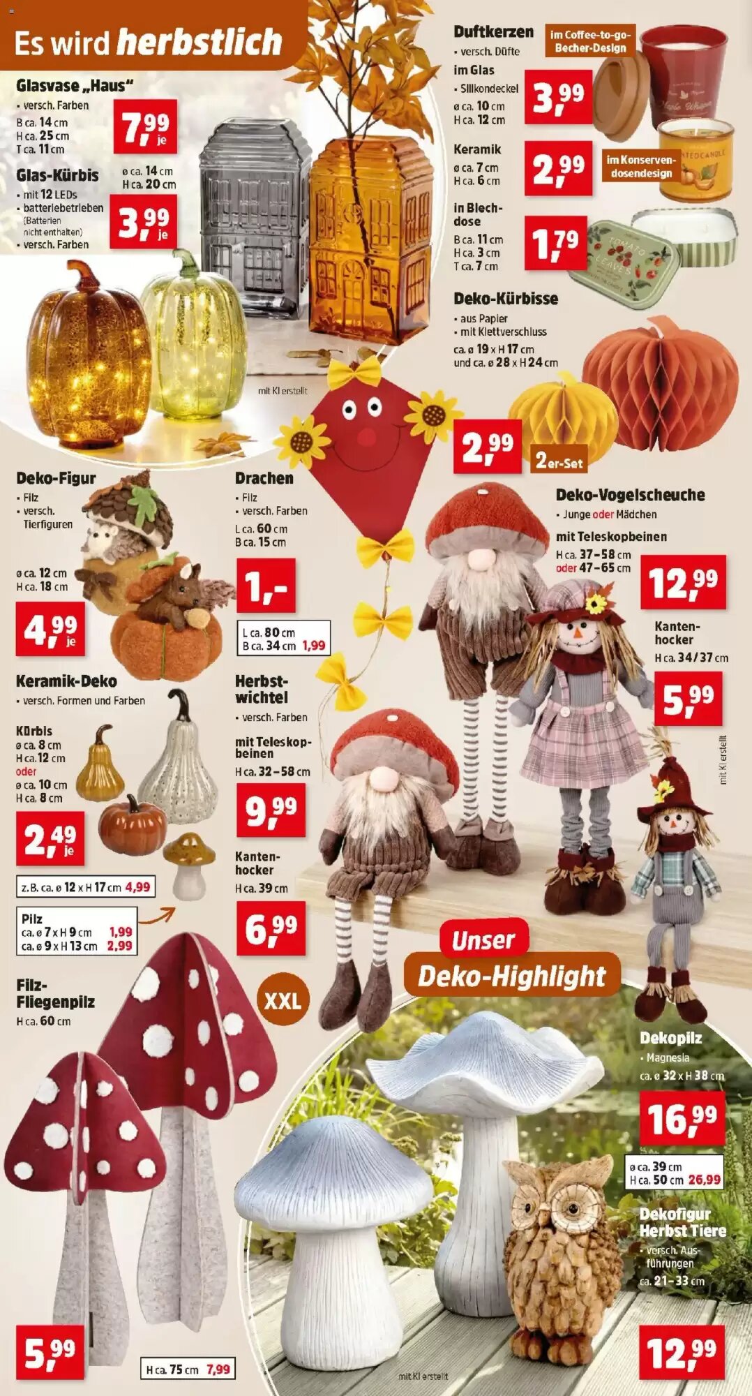 Thomas Philipps Flugblatt (ab 24.08.2026) - Angebote und Prospekt - Seite 6