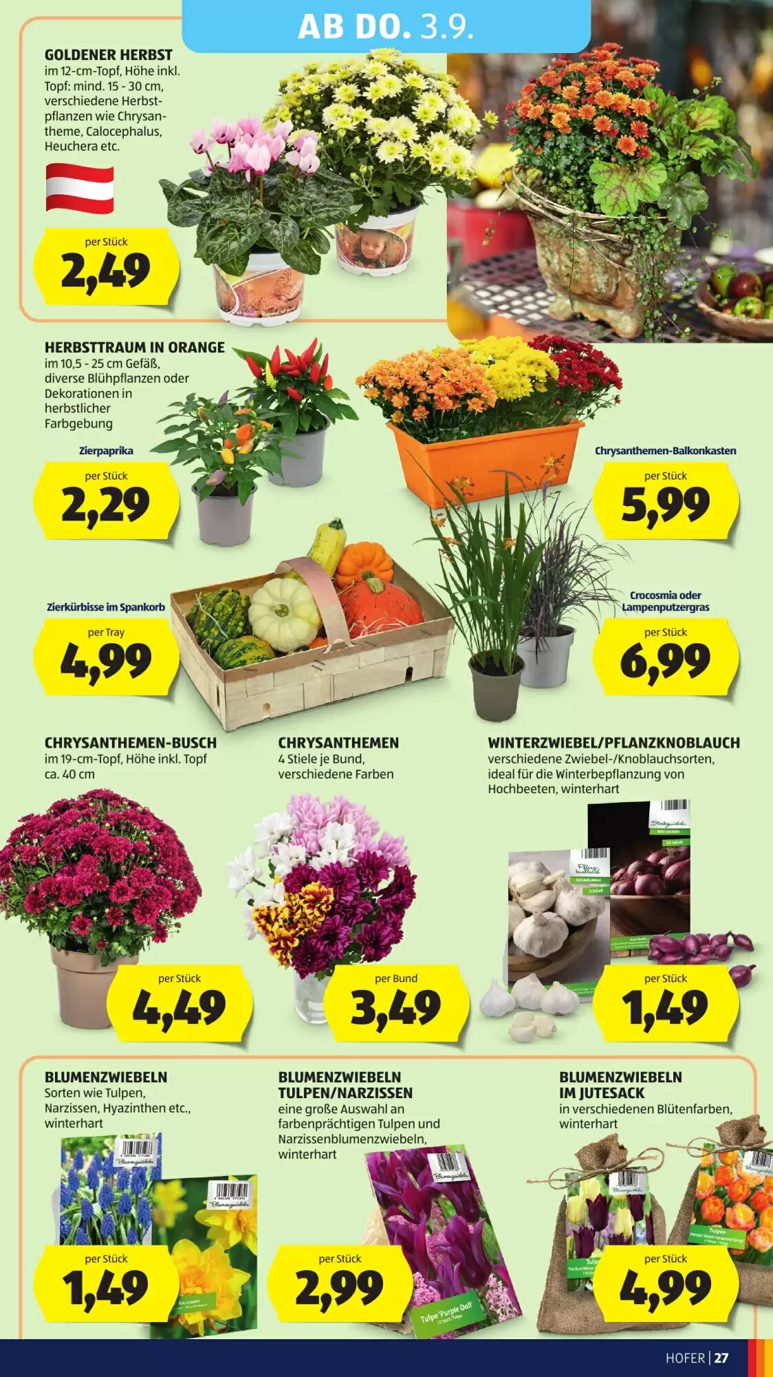 Hofer Flugblatt (ab 28.08.2026) - Angebote und Prospekt - Seite 39
