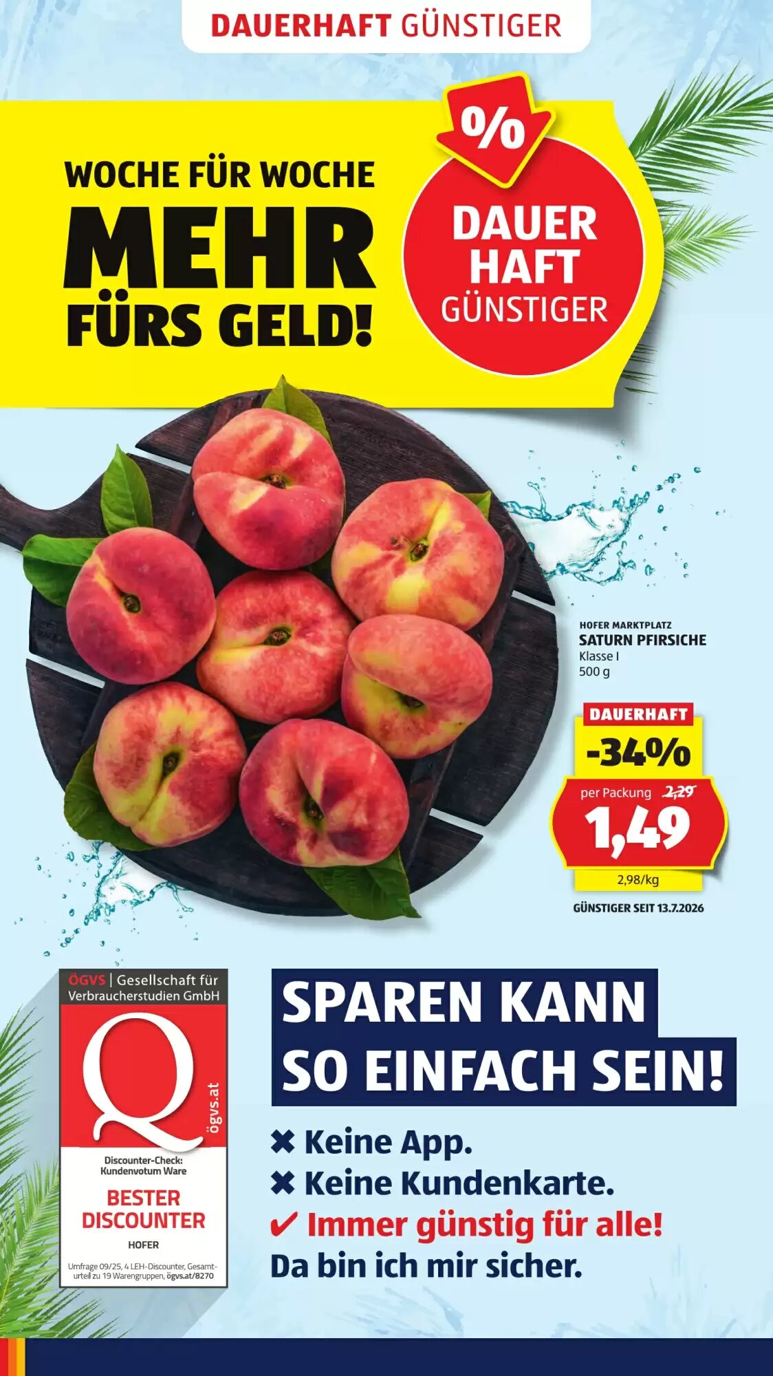 Hofer Flugblatt (ab 28.08.2026) - Angebote und Prospekt - Seite 8